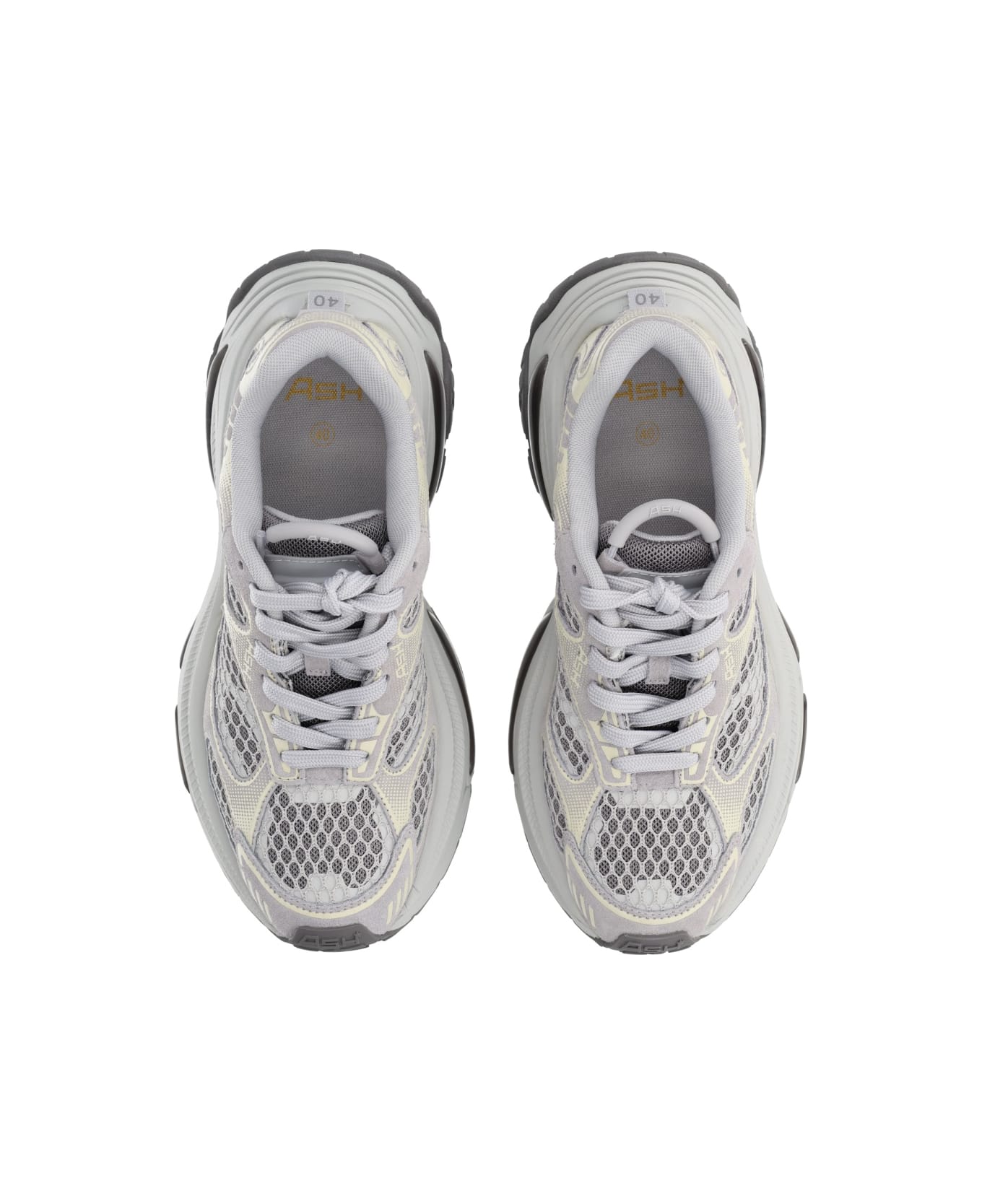 Ash "dragon" Sneaker - GREY