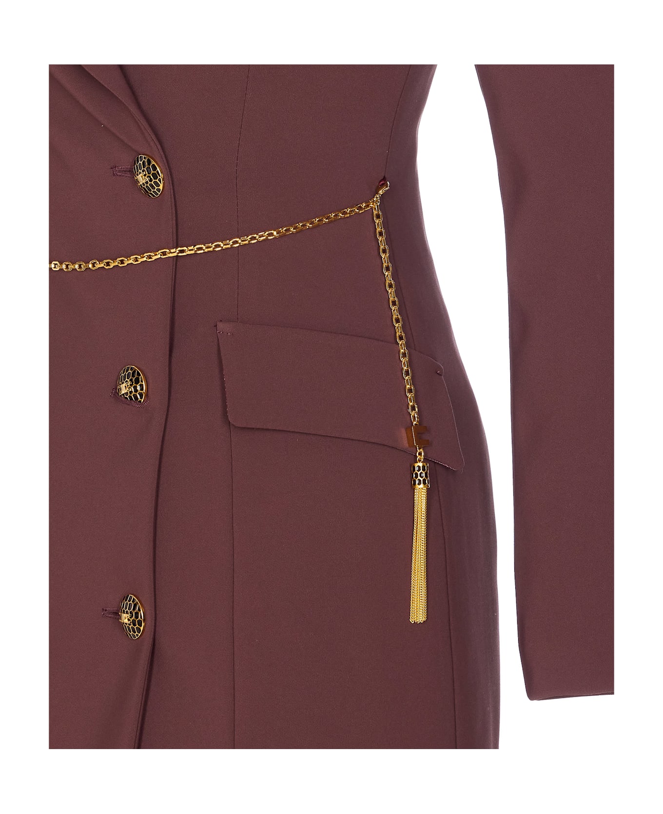 Elisabetta Franchi Double Breasted Dress - Purple