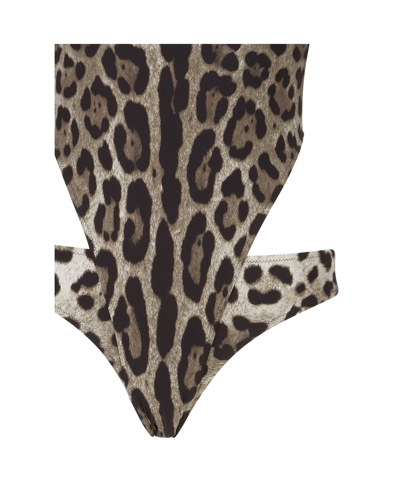 Dolce & Gabbana One-piece Swimsuit With Cut-out