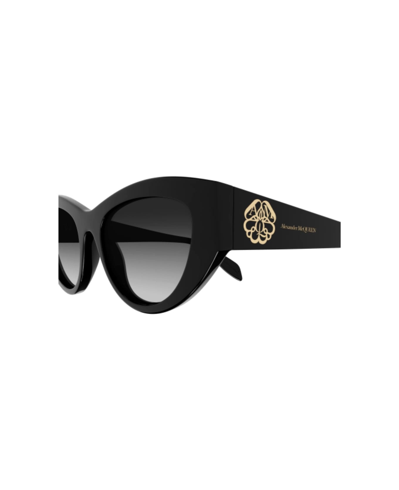 Alexander McQueen Eyewear AM0377s 001 Sunglasses