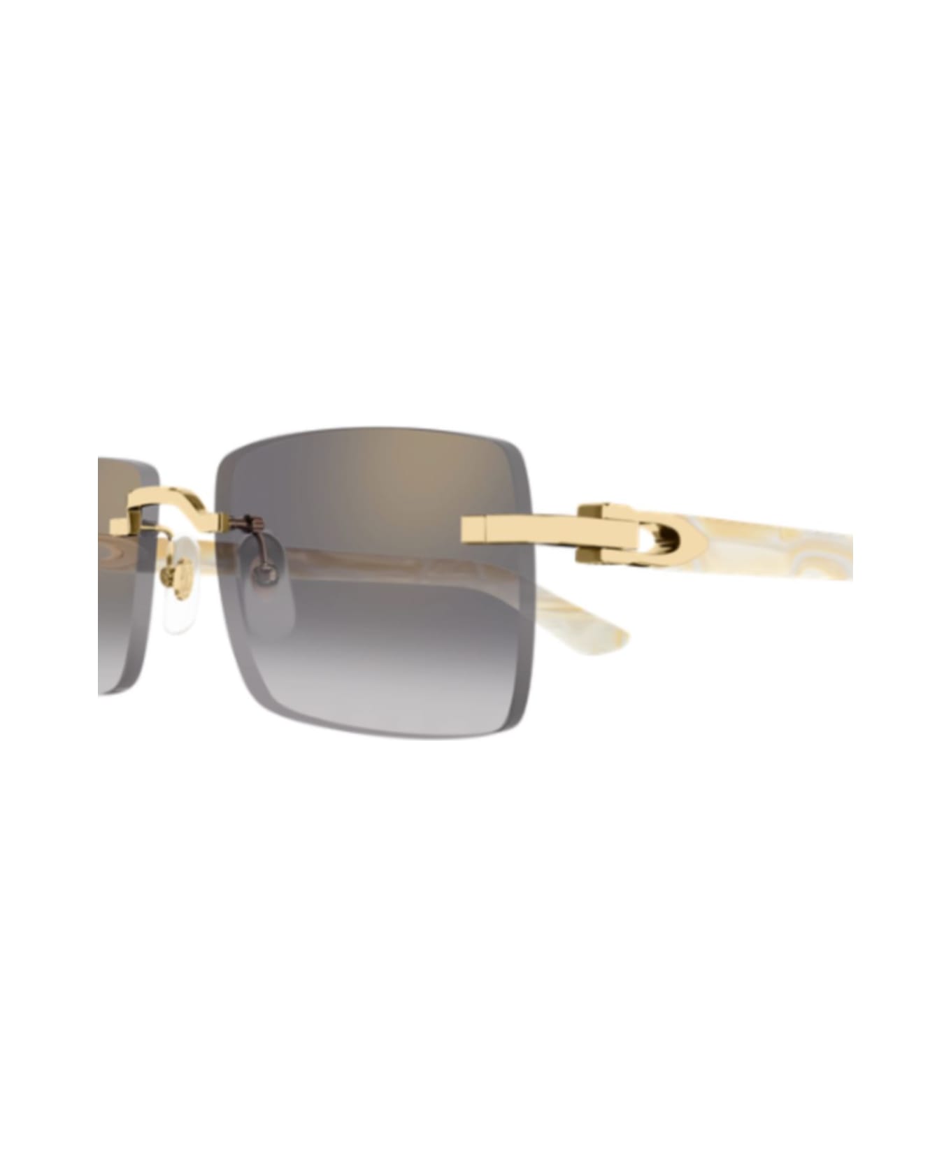 Cartier Eyewear Ct0579s007 Gold Ivory Grey - 007 gold ivory grey