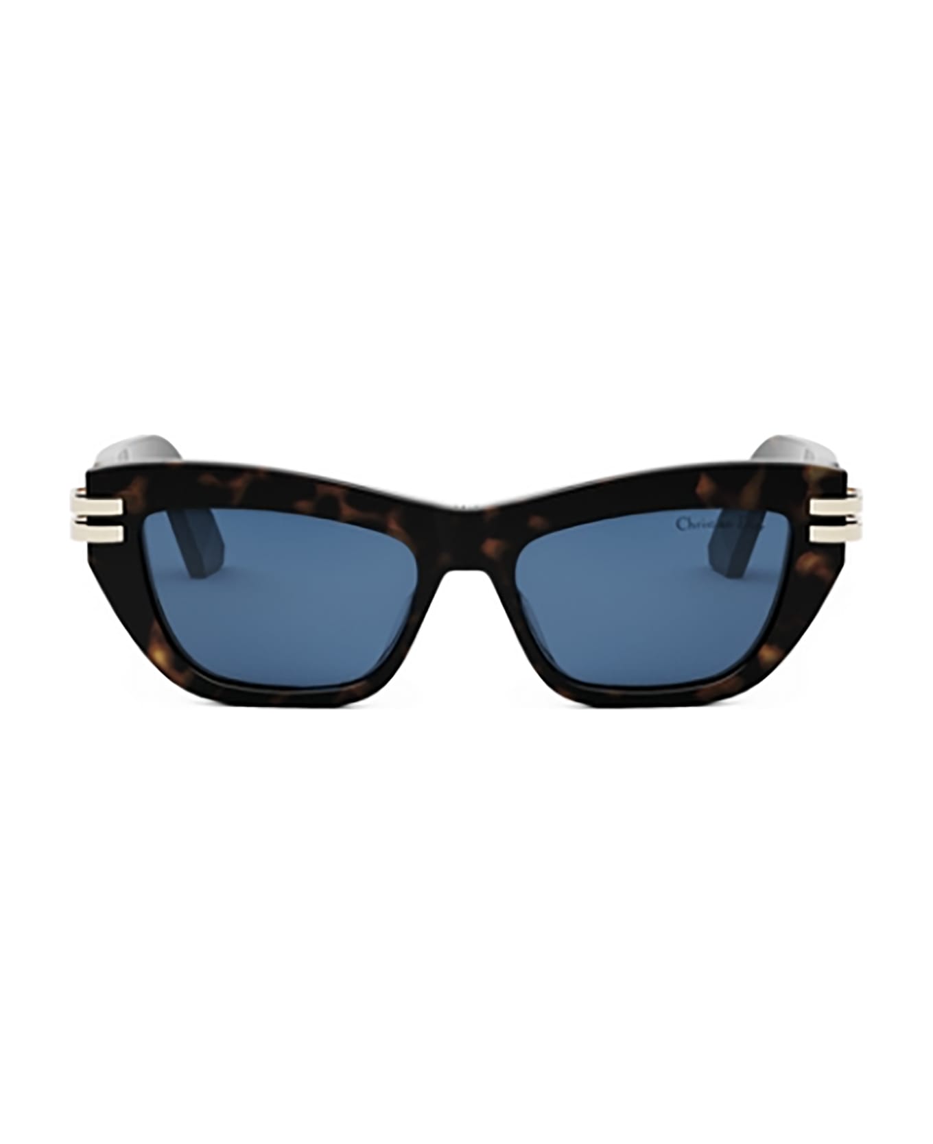 Dior CDIOR B2U Sunglasses サングラス