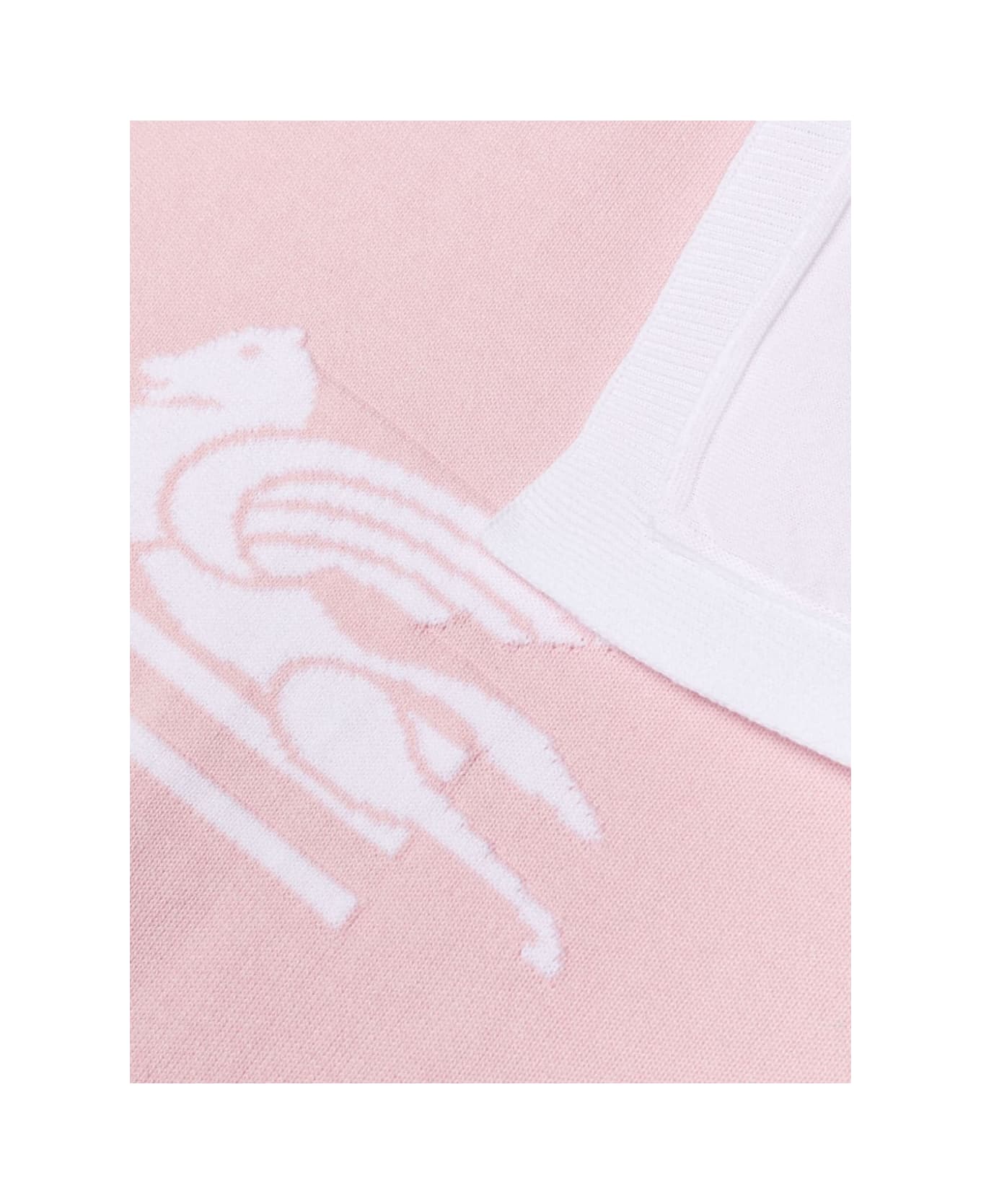 Etro Coperta Con Logo - Pink