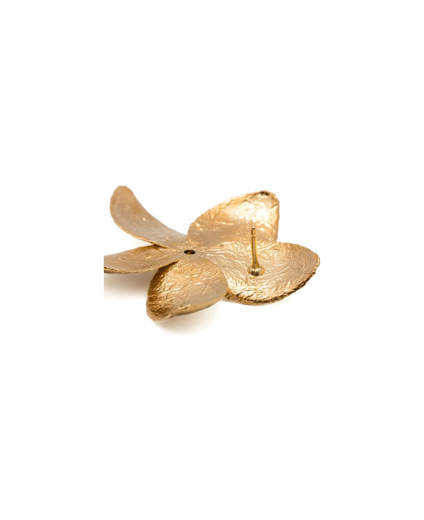 Forte_Forte Jewellery - GOLD