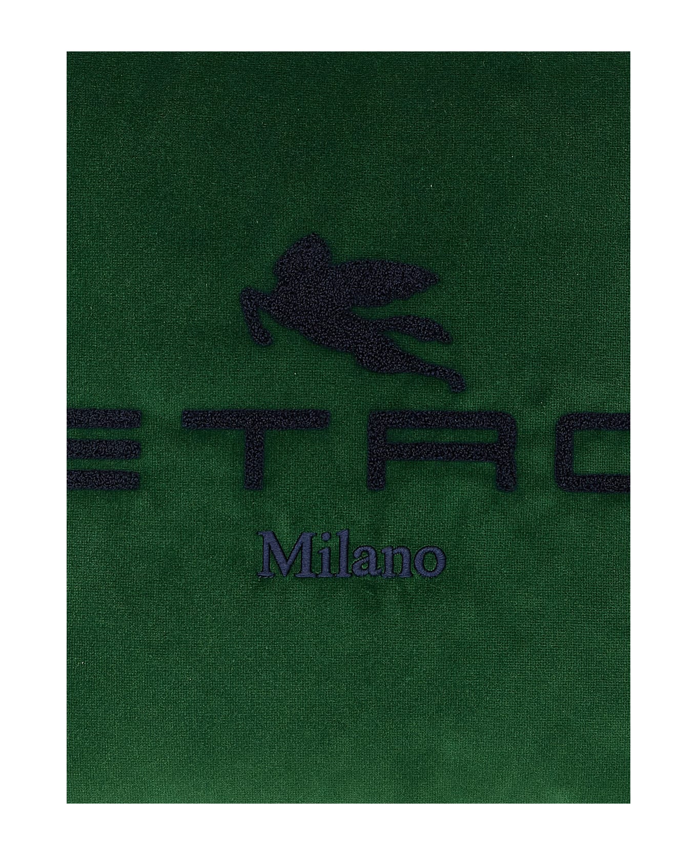 Etro Spunga Logo Cushion - Green