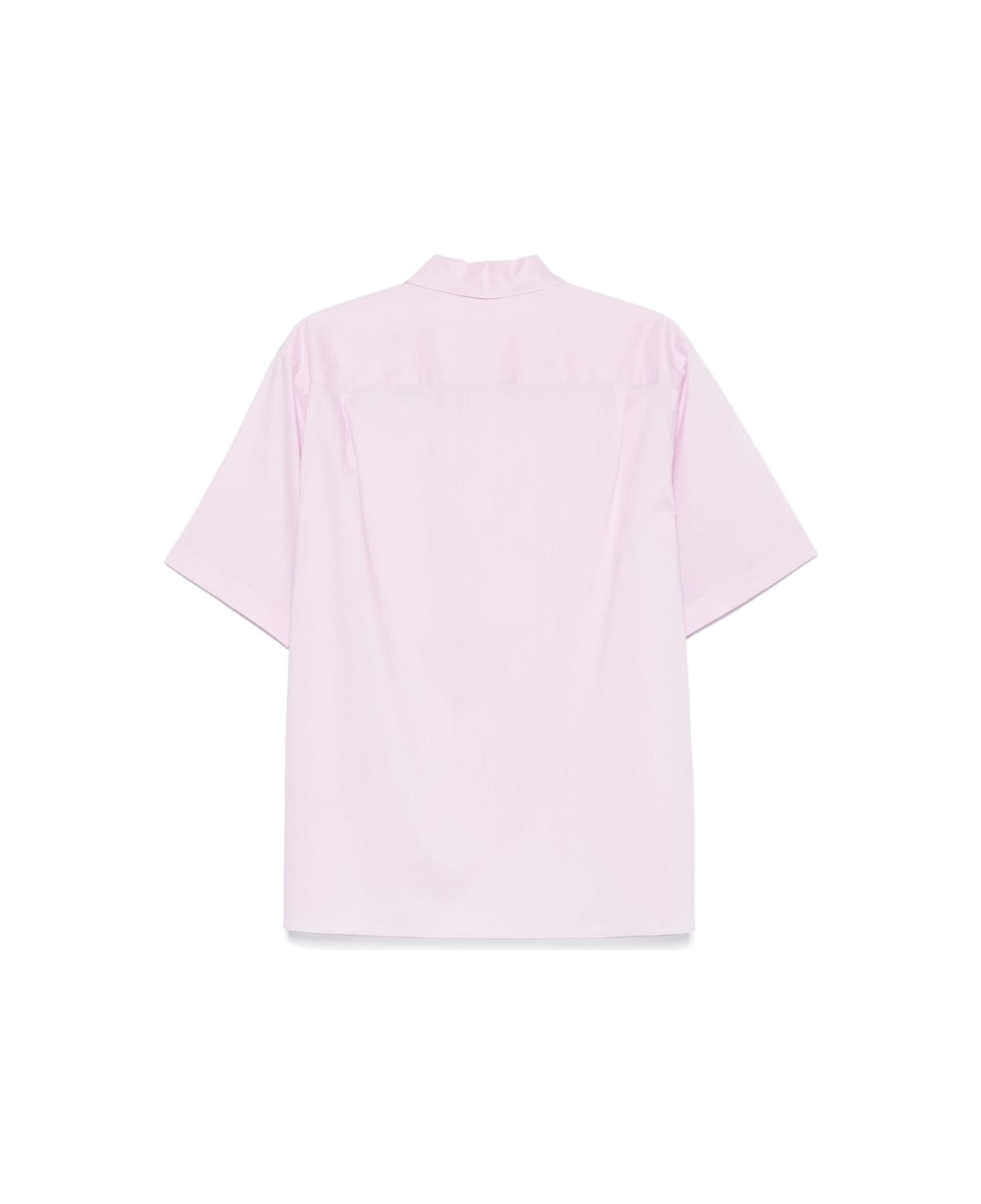 Auralee Cotton Shirt - Pink
