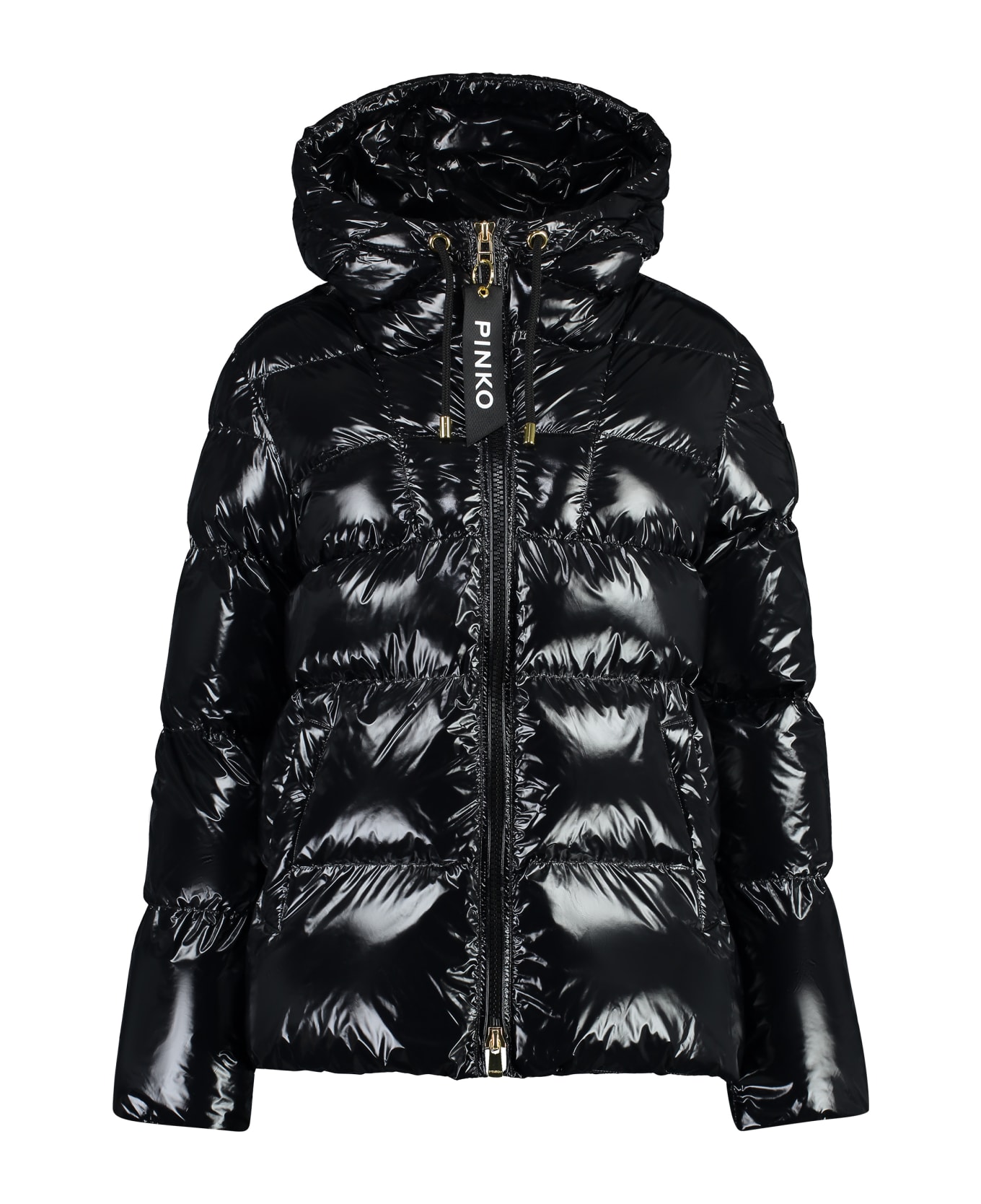 Eleodoro Hooded Shiny Down Jacket Pinko | italist