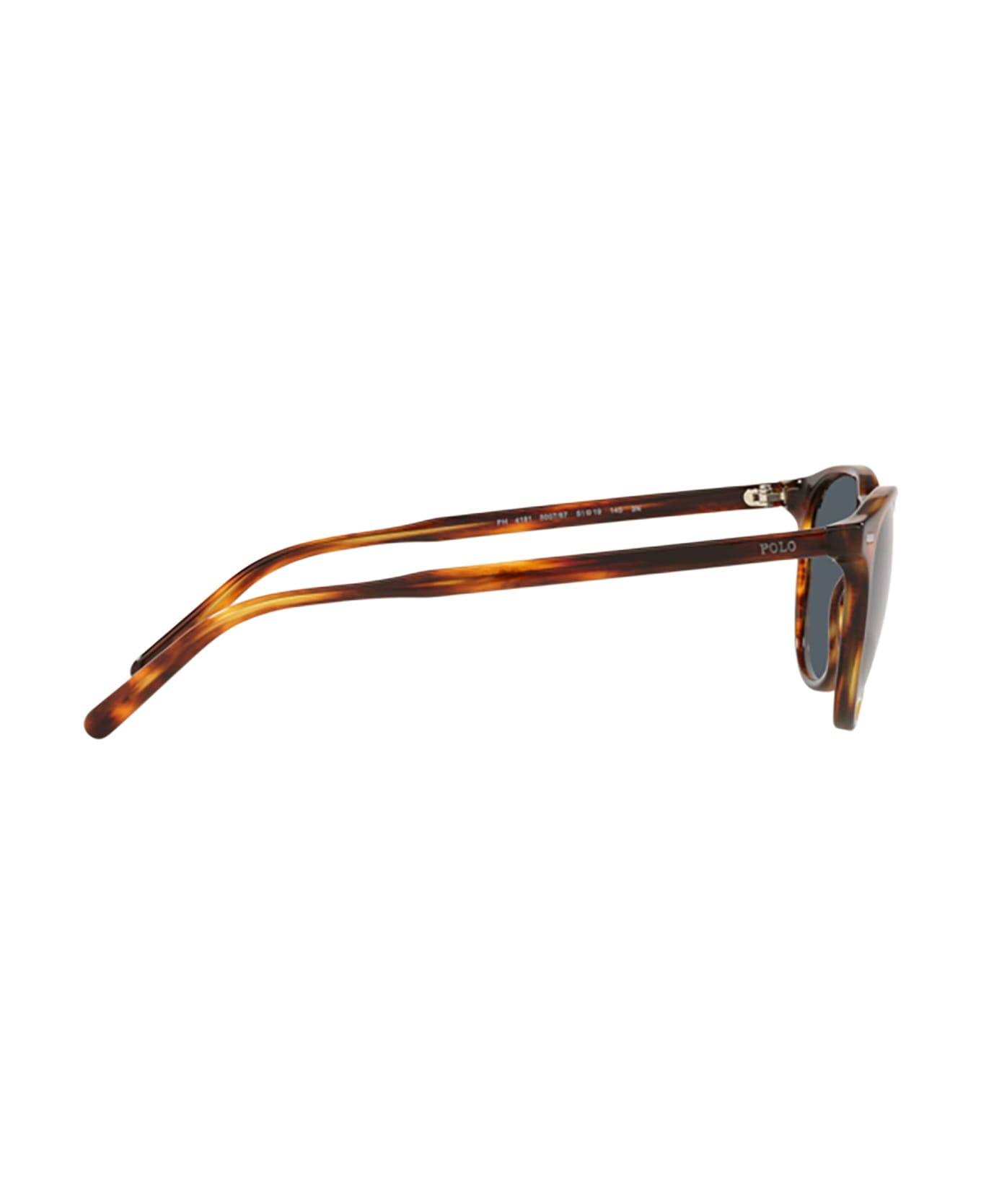 Polo Ralph Lauren Ph4181 Shiny Striped Havana Sunglasses - Shiny striped havana サングラス