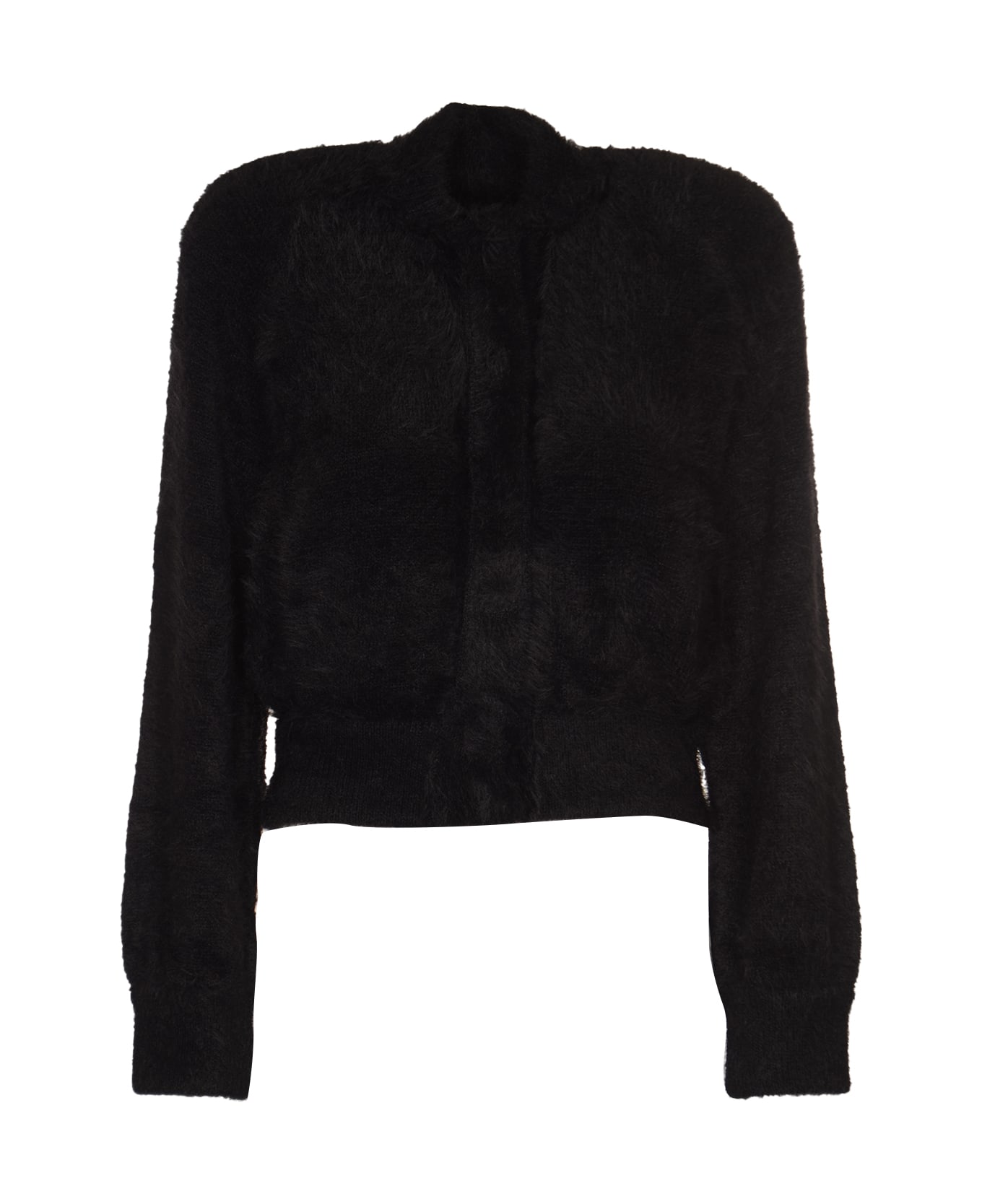Alberta Ferretti Fur Applique Cropped Jacket - Black