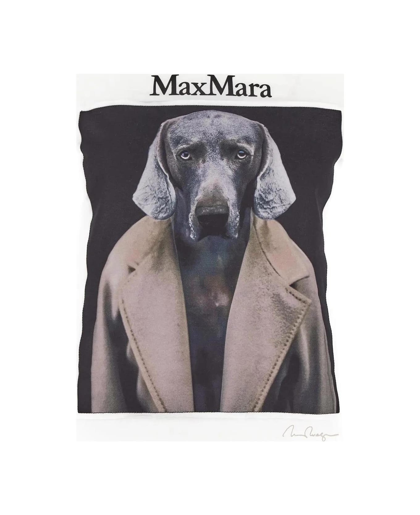 Max Mara Cipria T-shirt - White