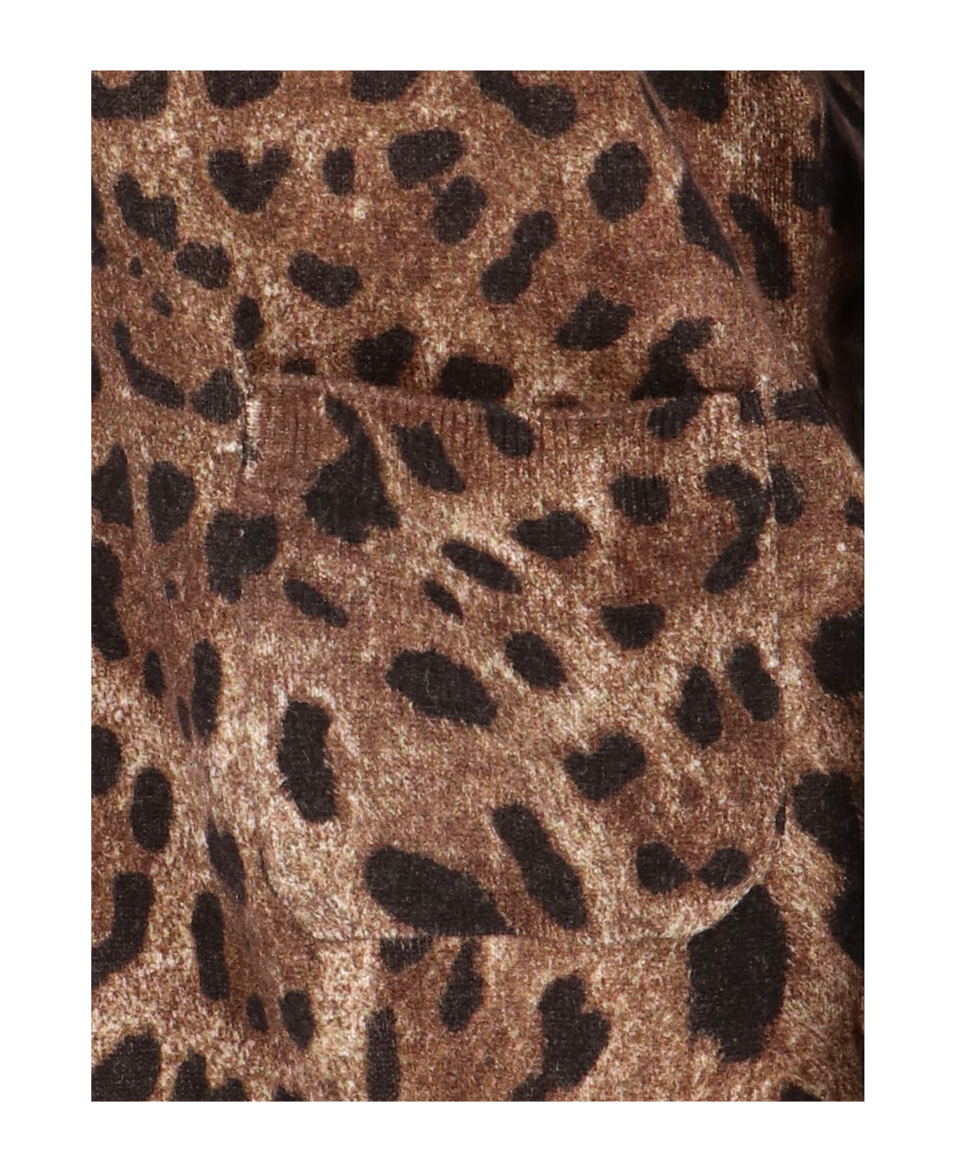 Dolce & Gabbana Leopard Printed Cardigan - Brown カーディガン