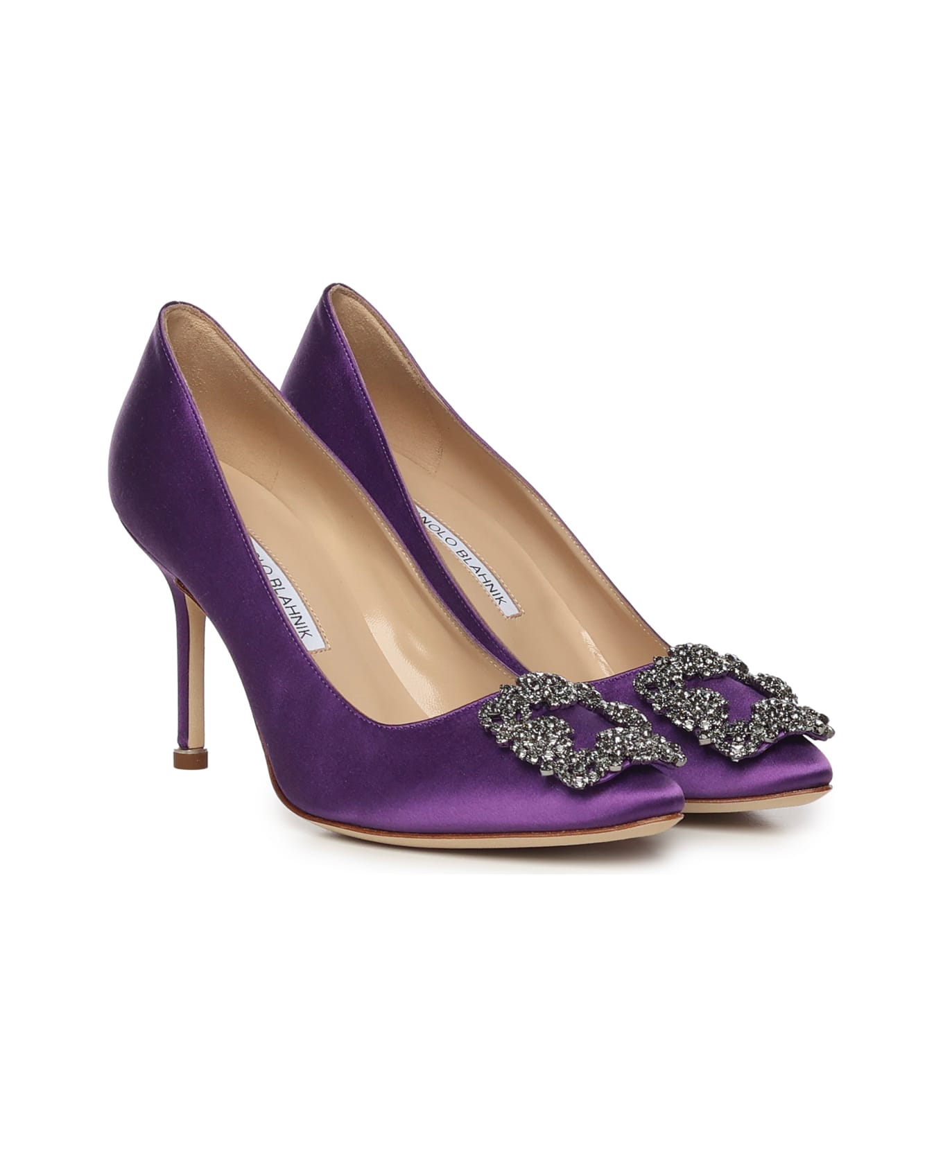Manolo Blahnik Hangisi Pumps - PURPLE