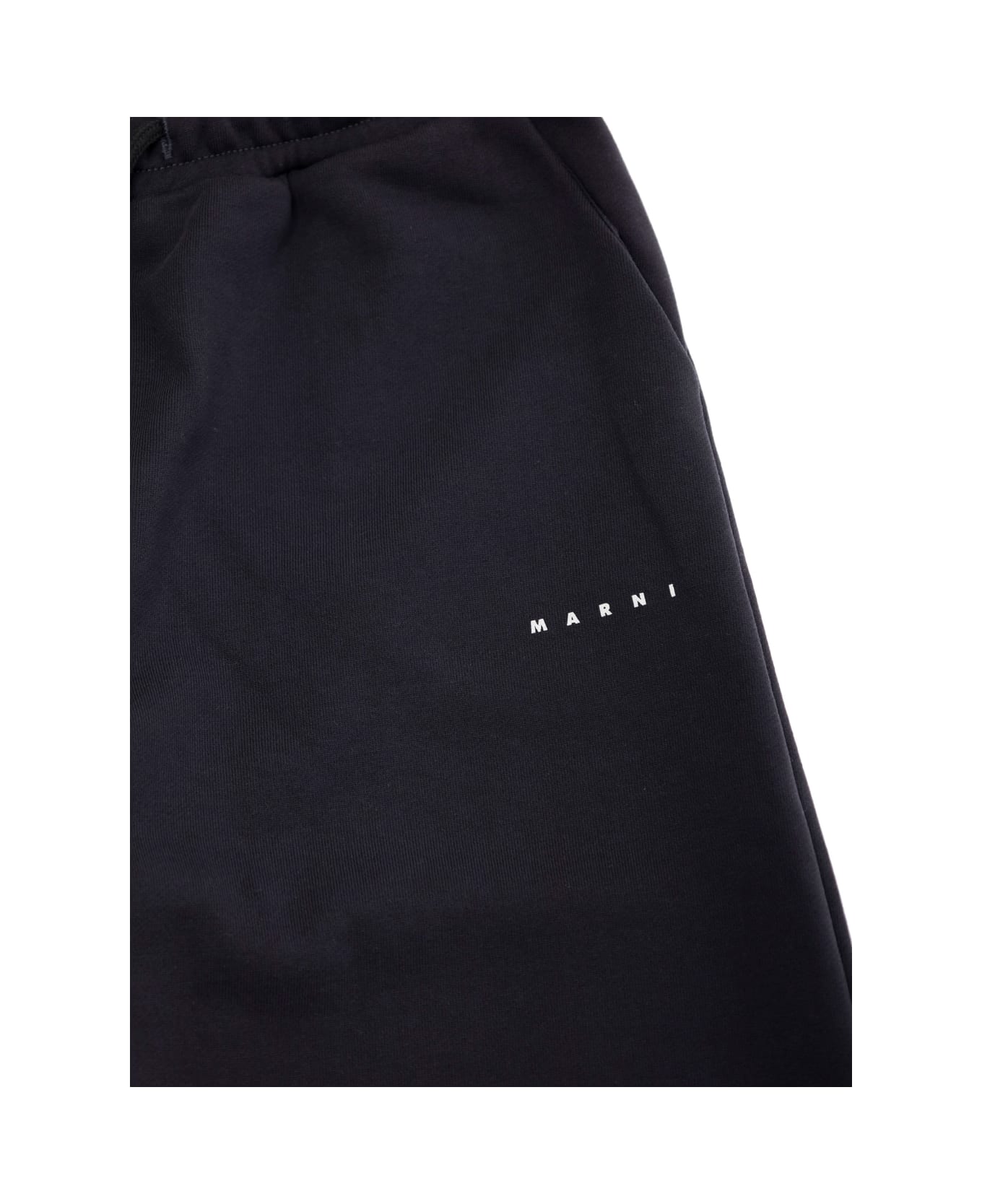 Marni Blue Pants With Logo Lettering On The Front In Cotton Girls - Blu
