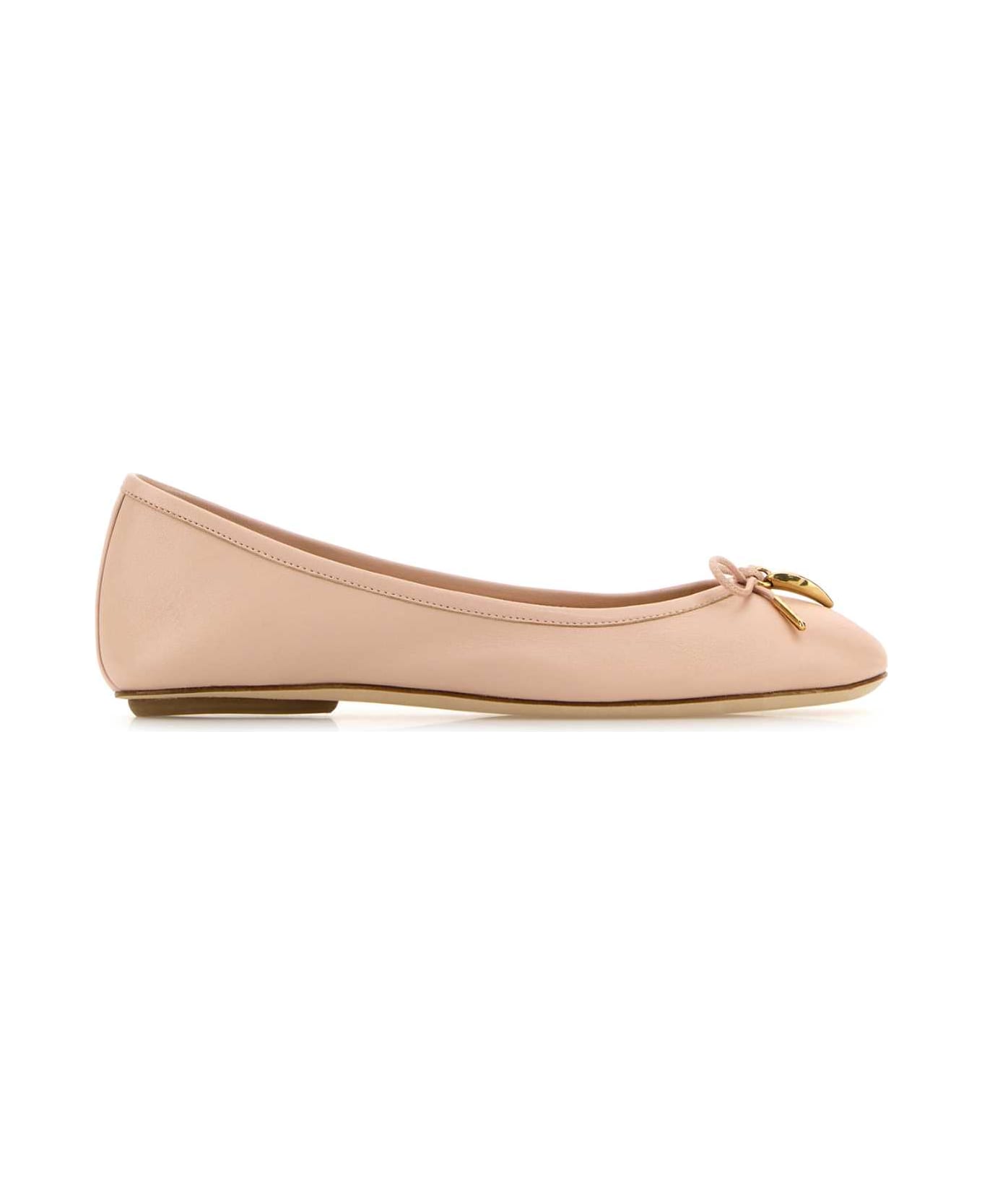 Chloé Powder Pink Leather Iris Ballerinas - BLUSHYBEIGE