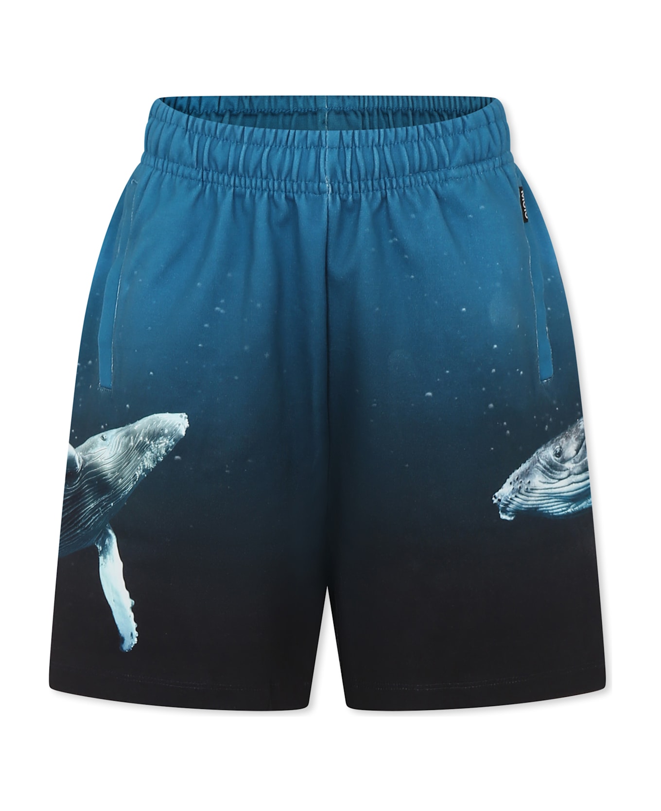 Molo Light Blue Shorts For Boy With Whale - Light Blue