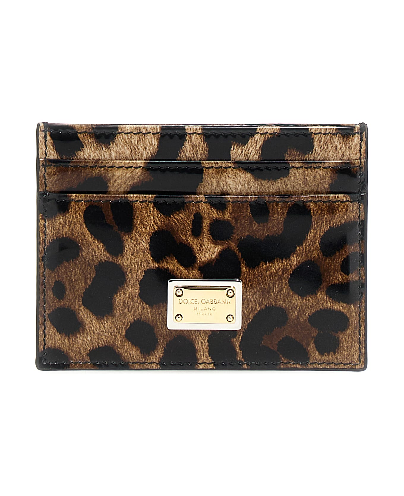 Dolce & Gabbana Leopard Print Card Holder - Multicolor