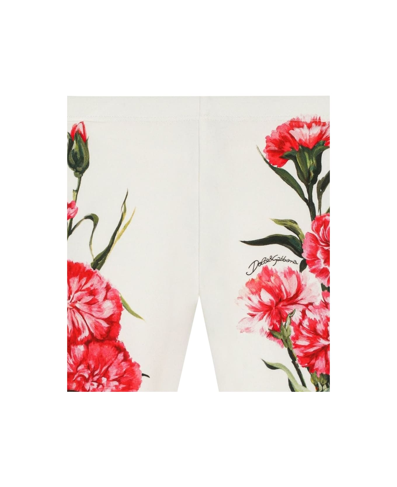 Dolce & Gabbana Carnation Leggings - MULTICOLOUR