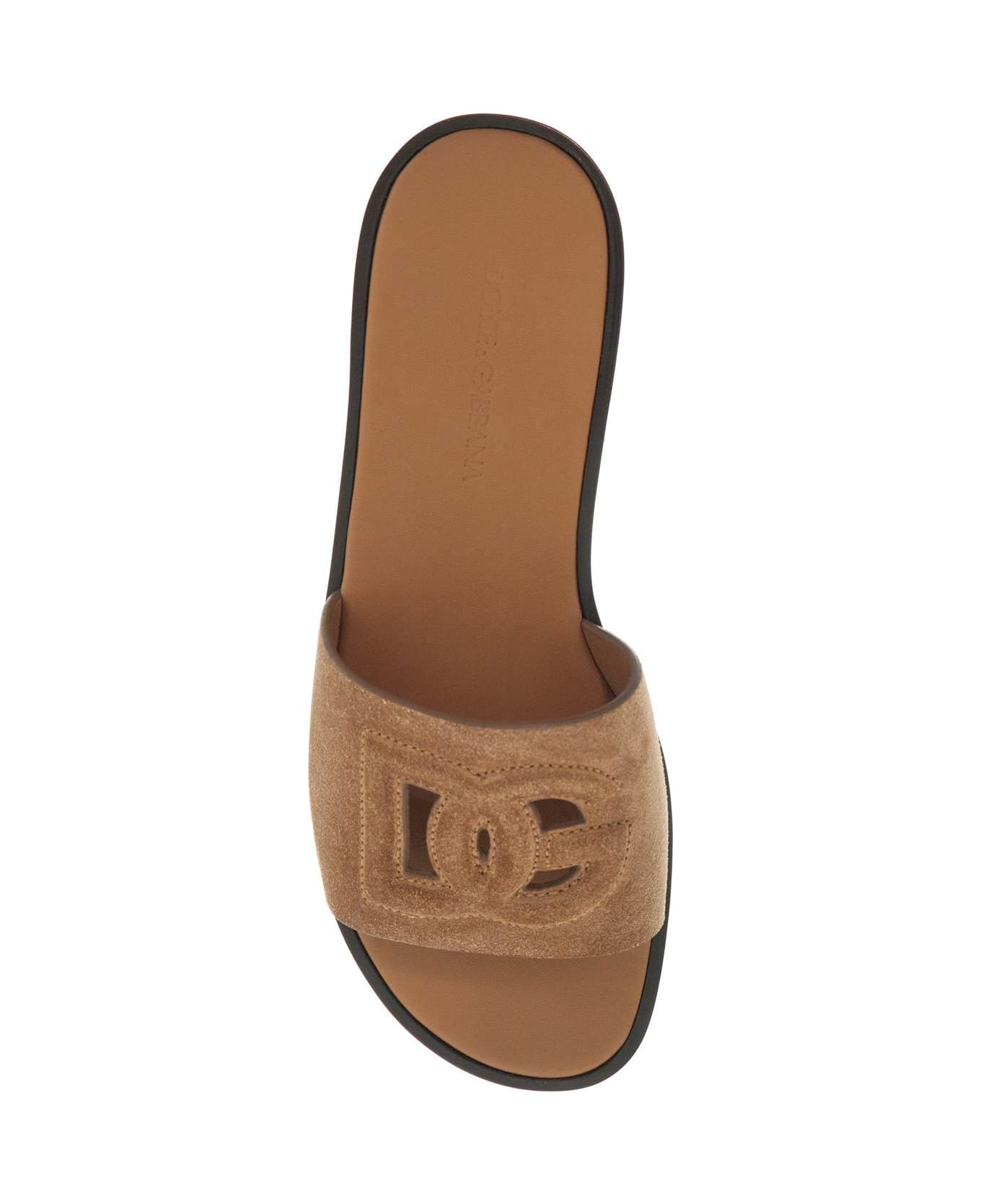 Dolce & Gabbana 'dg Logo Suede Slides For Stylish - NOCCIOLA (Brown)