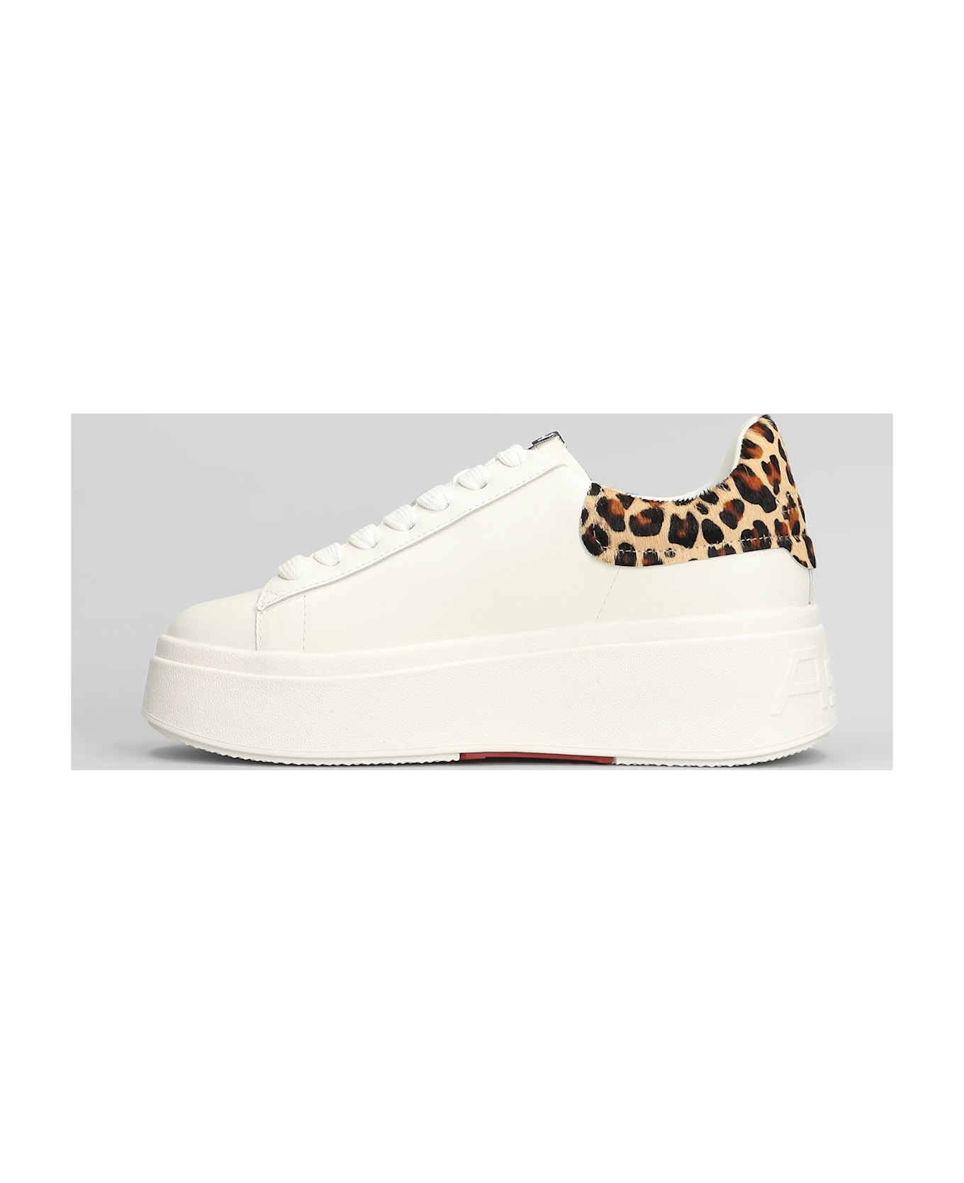 Ash Moby Sneakers In White Leather - white
