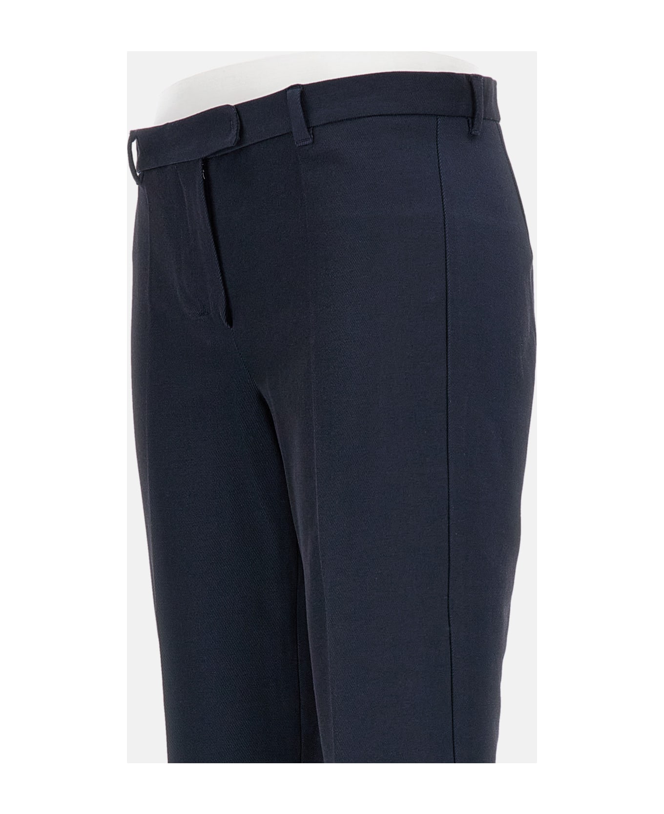 
S Max Mara Umanita Pant - Blue