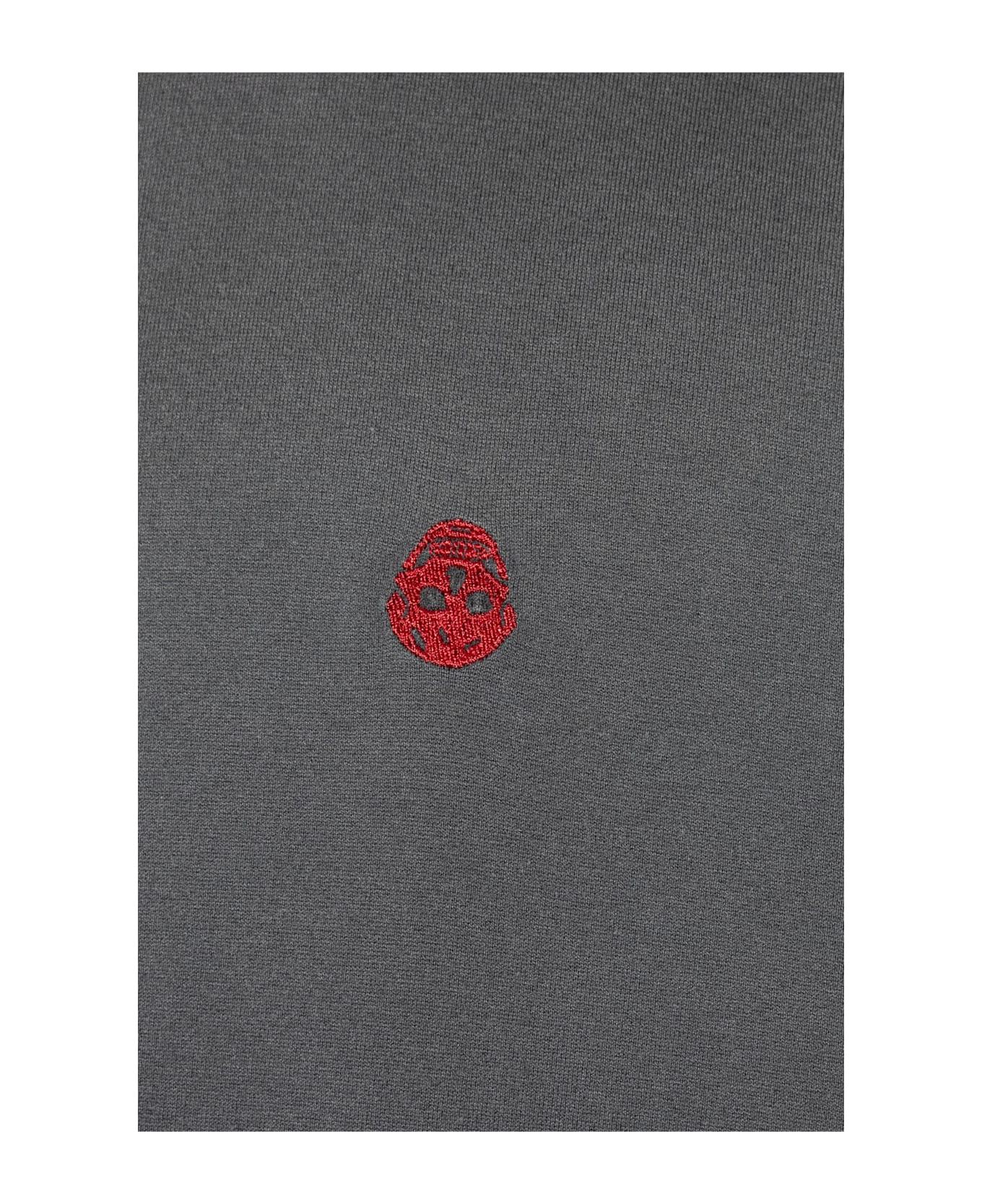 Alexander McQueen Cotton Polo With Embroidered Logo - Black