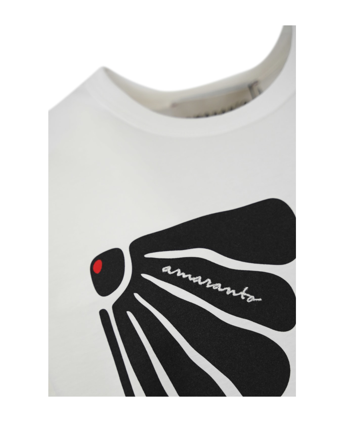 Amaranto T-shirt With Print - Panna