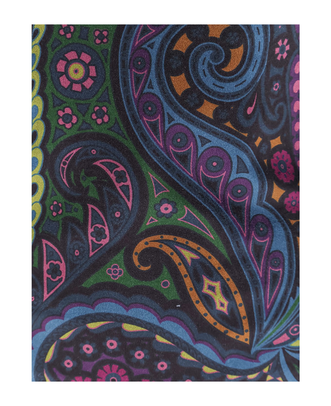 Etro Chenille T-shirt With Multicolor Print - Blue