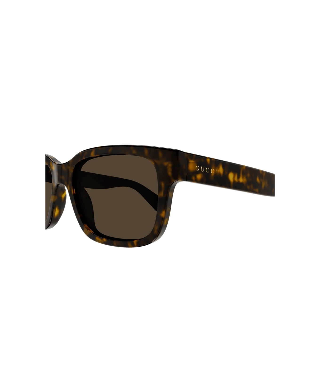 Gucci Eyewear GG1583s 002 Sunglasses