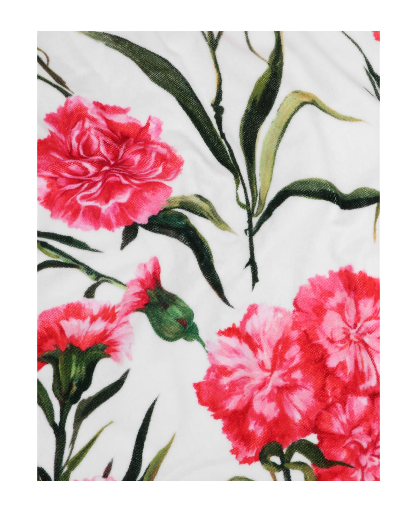 Dolce & Gabbana Garofani Beach Towel - Pink タオル