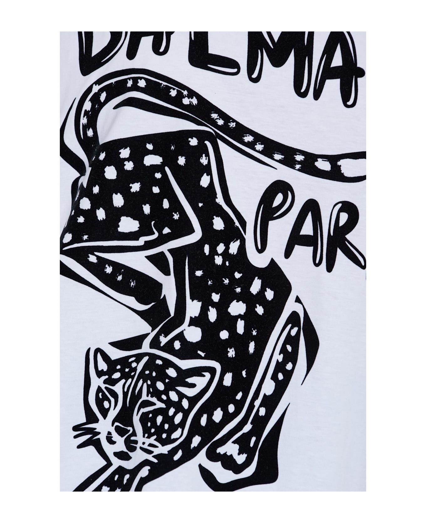 Balmain T-shirt With A Velvet-finish Print - White