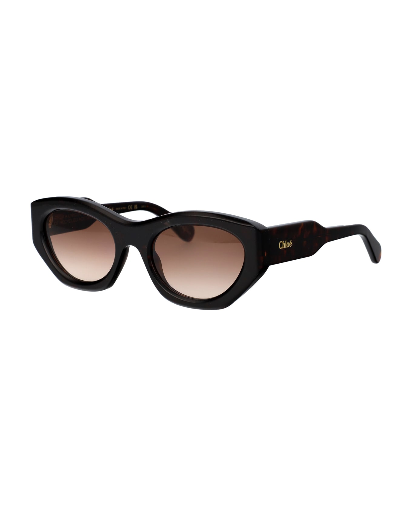 Chloé Eyewear Ch0220s Sunglasses - 002 HAVANA HAVANA BROWN