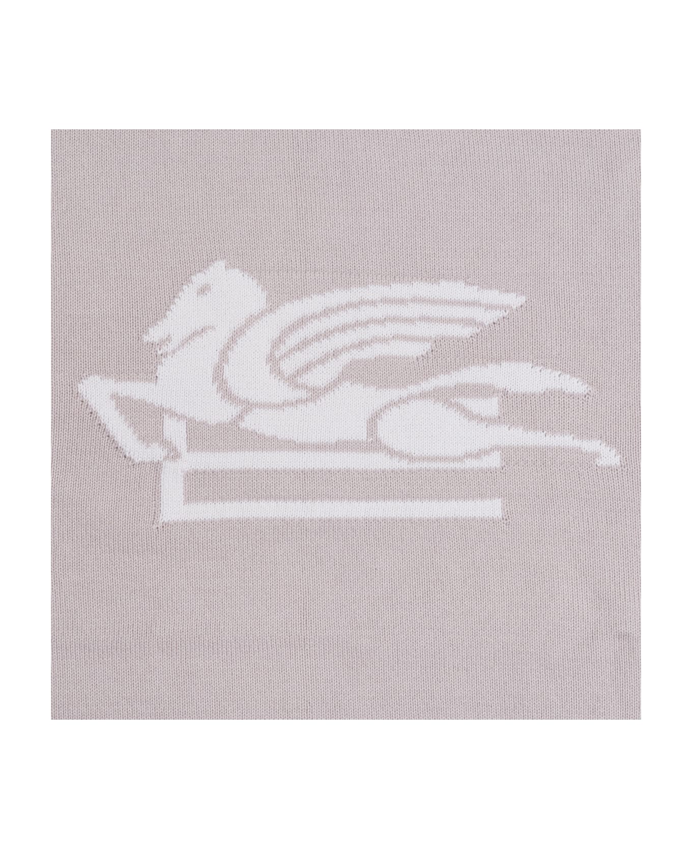 Etro Coperta Con Logo - Gray