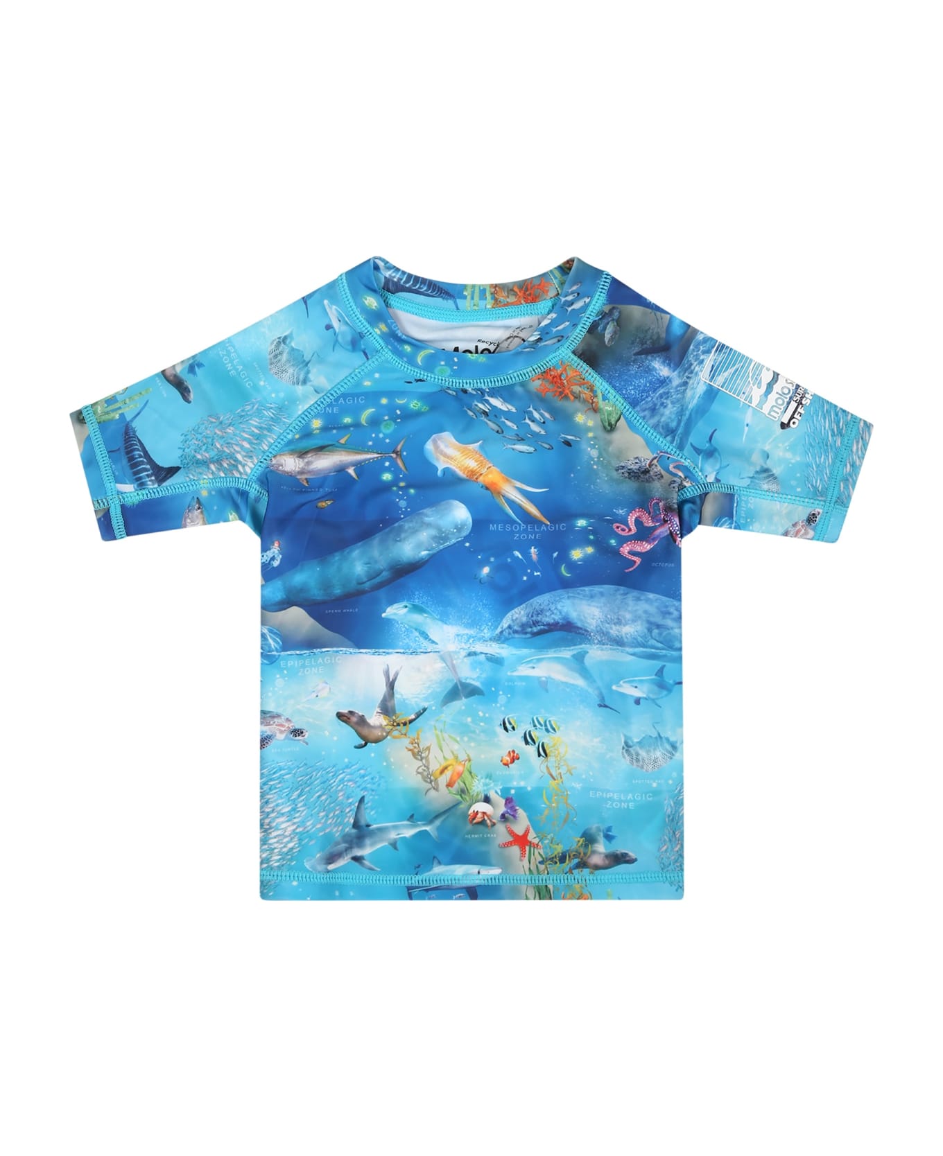 Molo Light Blue T-shirt For Baby Boy With Marine Animals - Light Blue