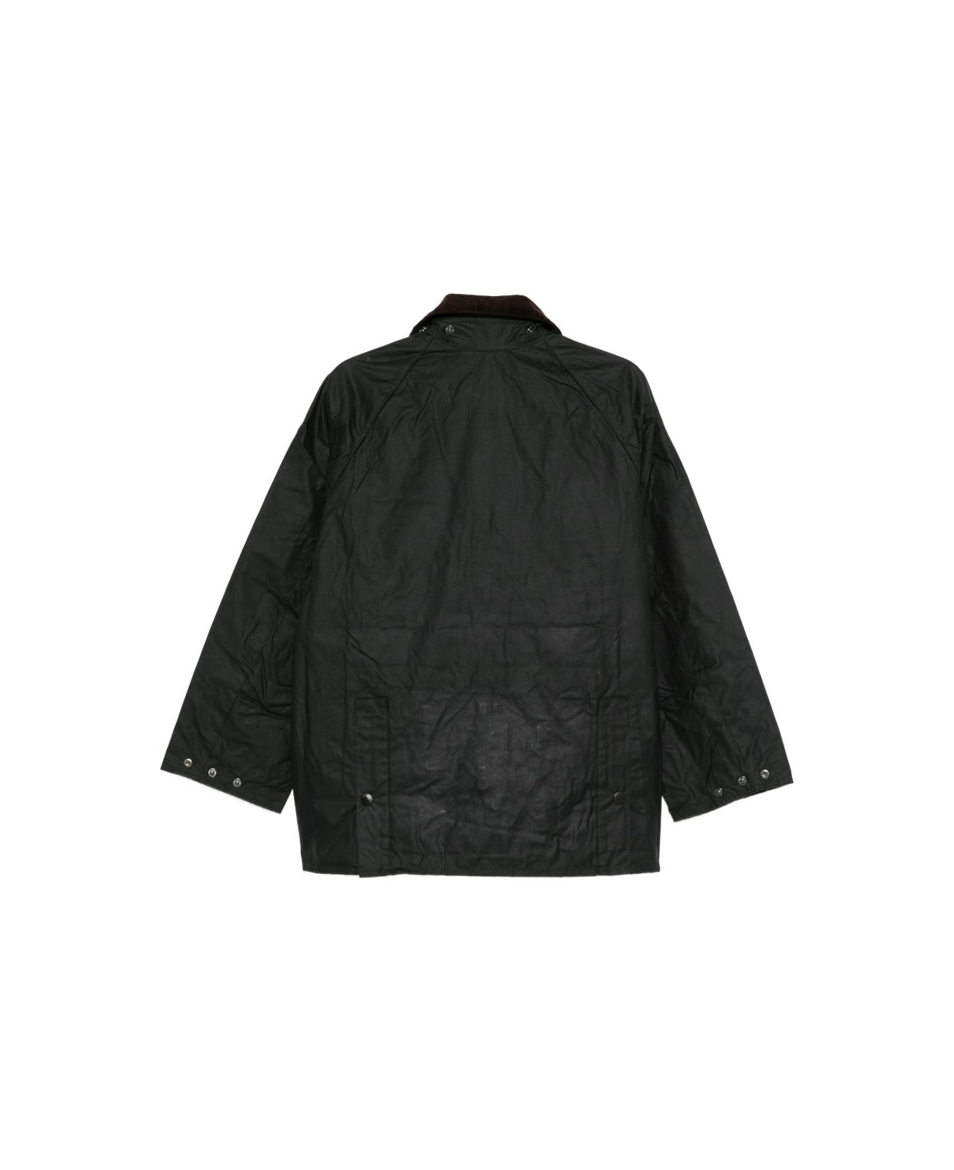 Barbour Corduroy-collar Coat - Green