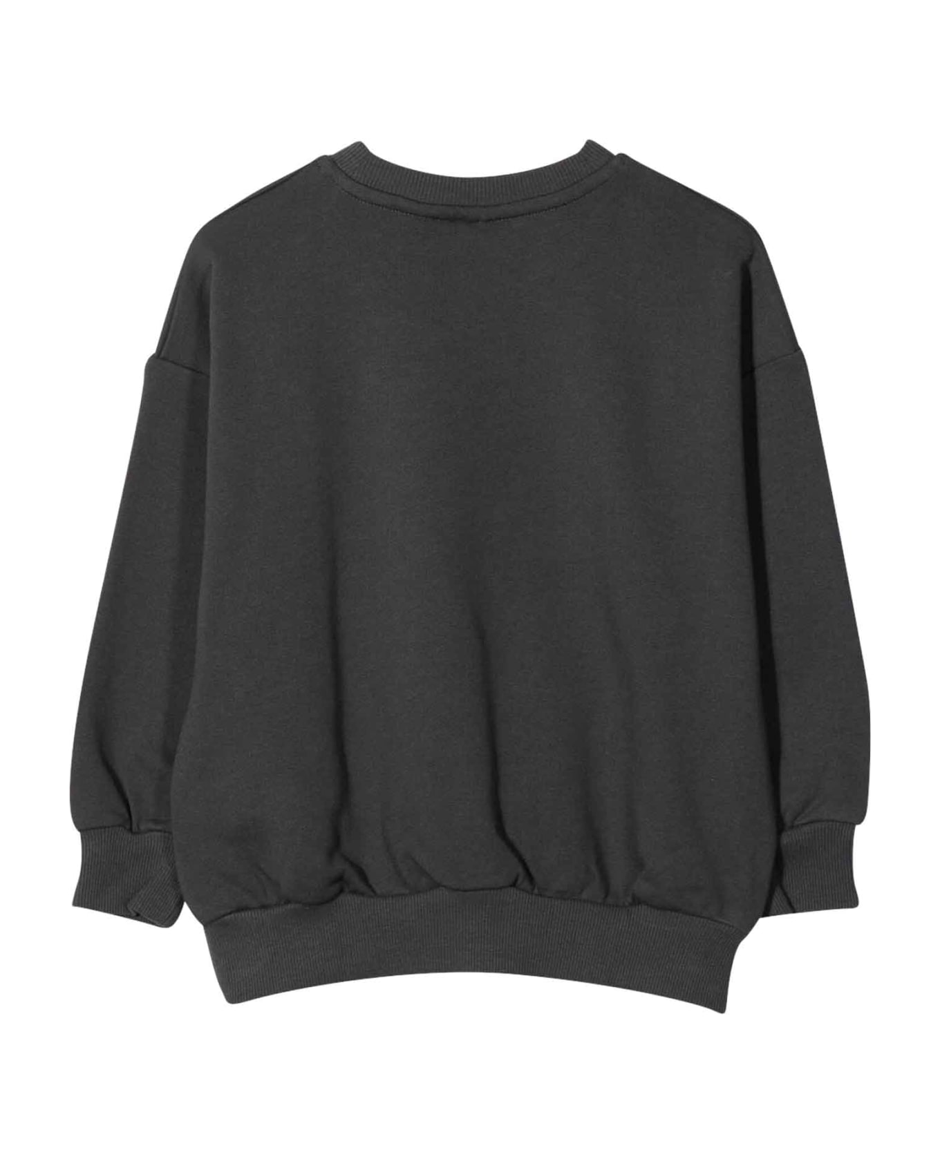 Mini Rodini Unisex Gray Sweatshirt - Grigio