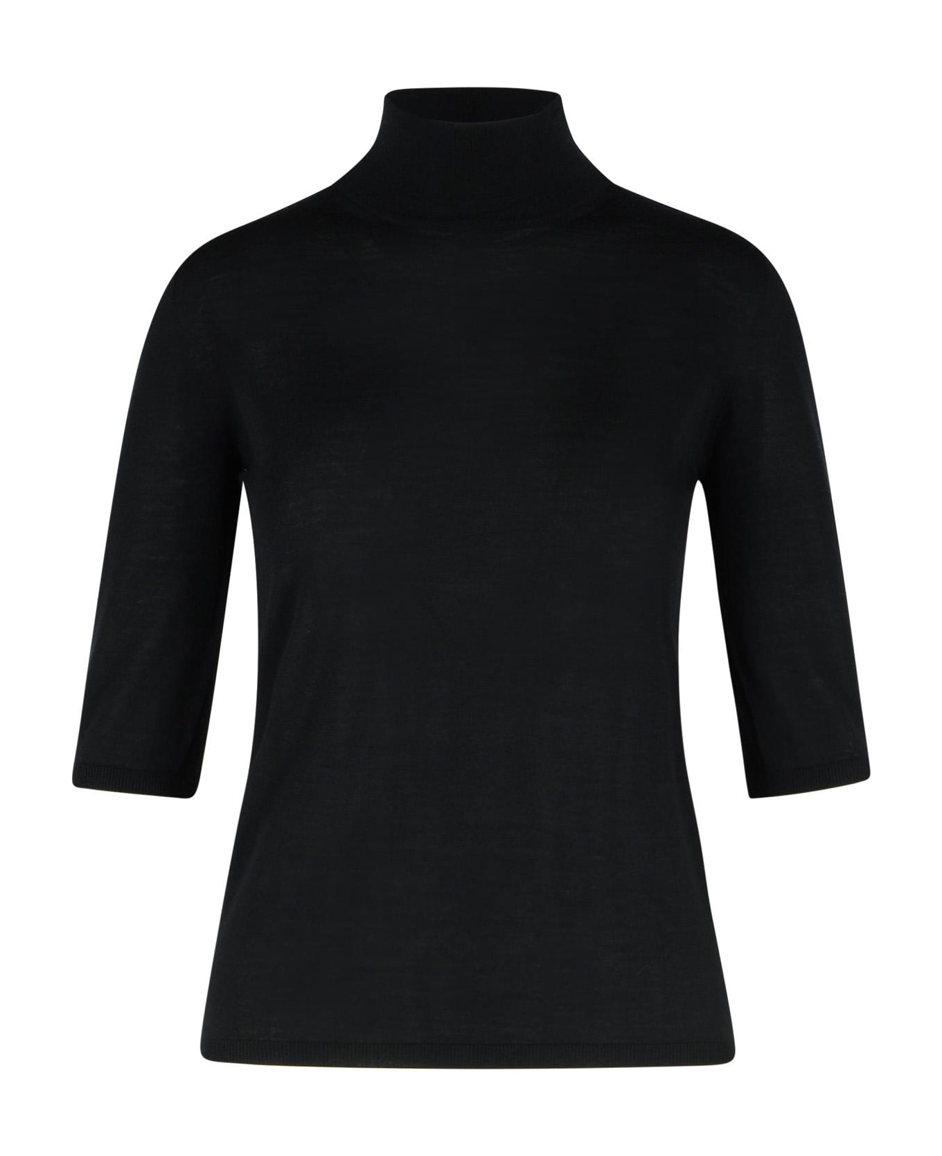 Max Mara 'cecina' Beige Virgin Wool Turtleneck Sweater - Black