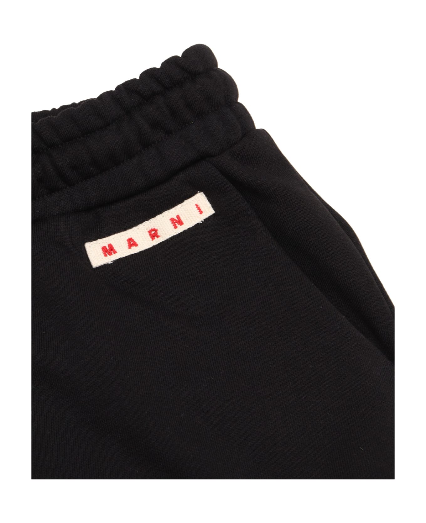 Marni Pants - BLACK