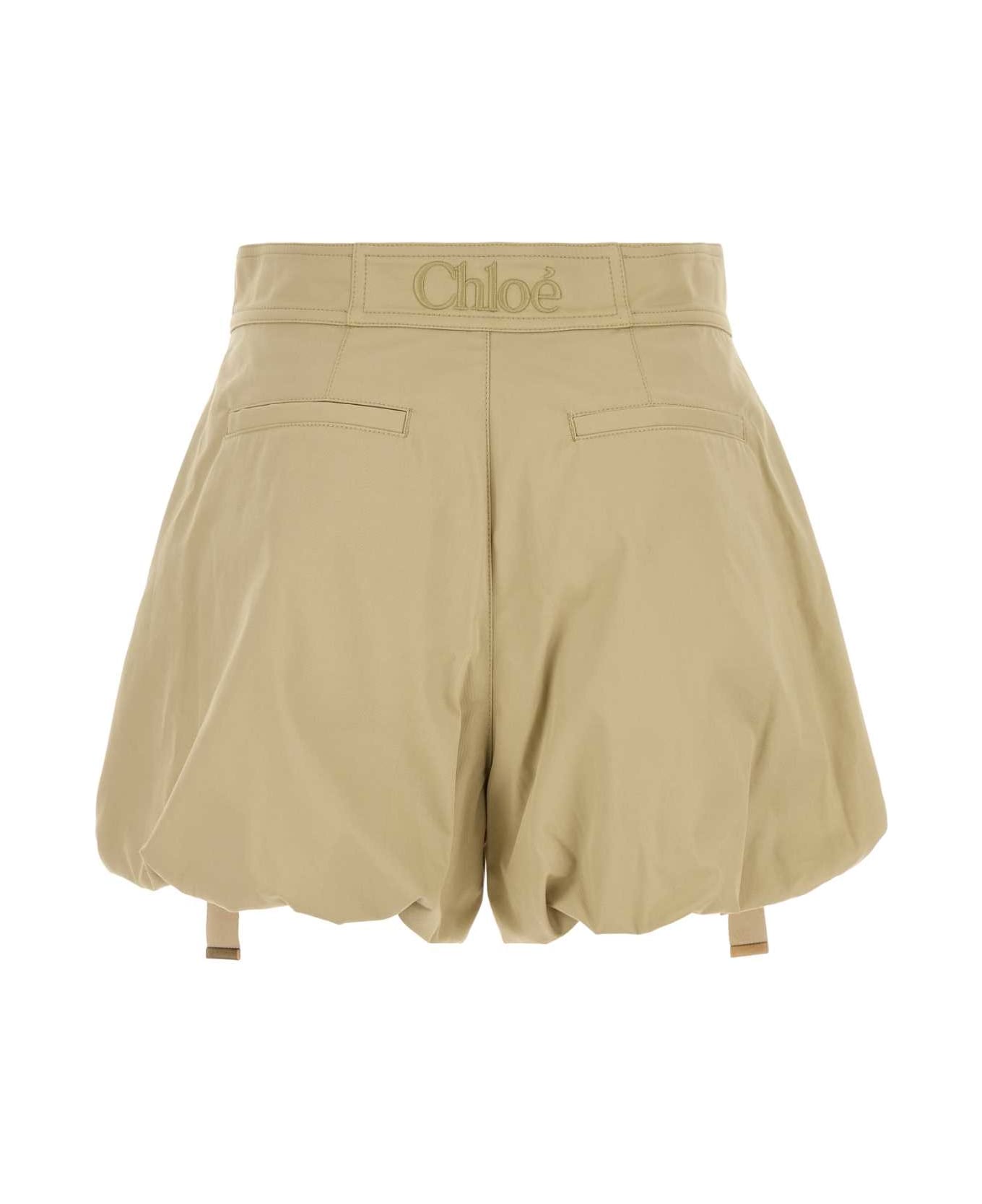 Chloé Cappuccino Cotton Shorts - SMOKYBEIGE