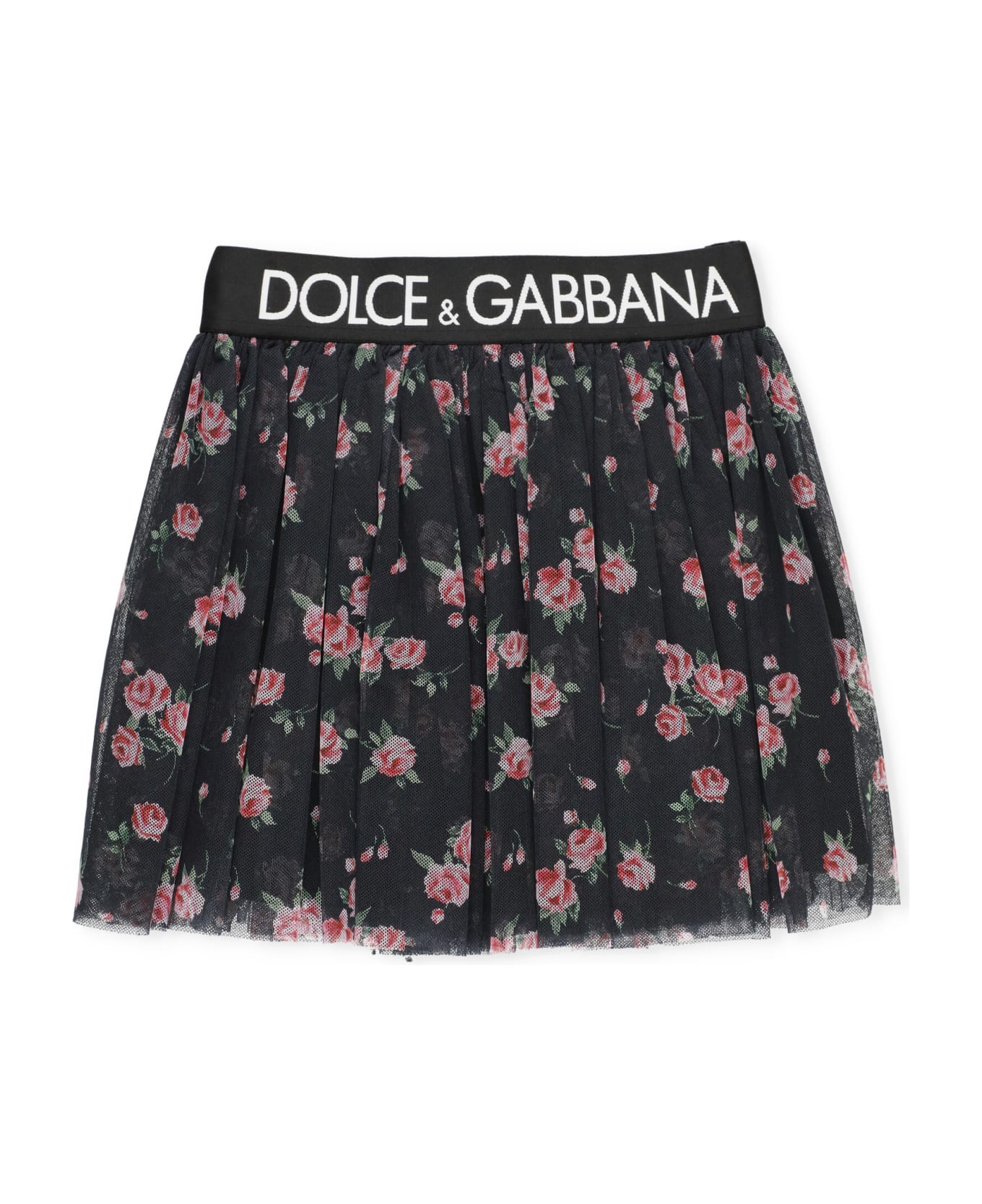 Dolce & Gabbana Tulle Skirt With Print - Black