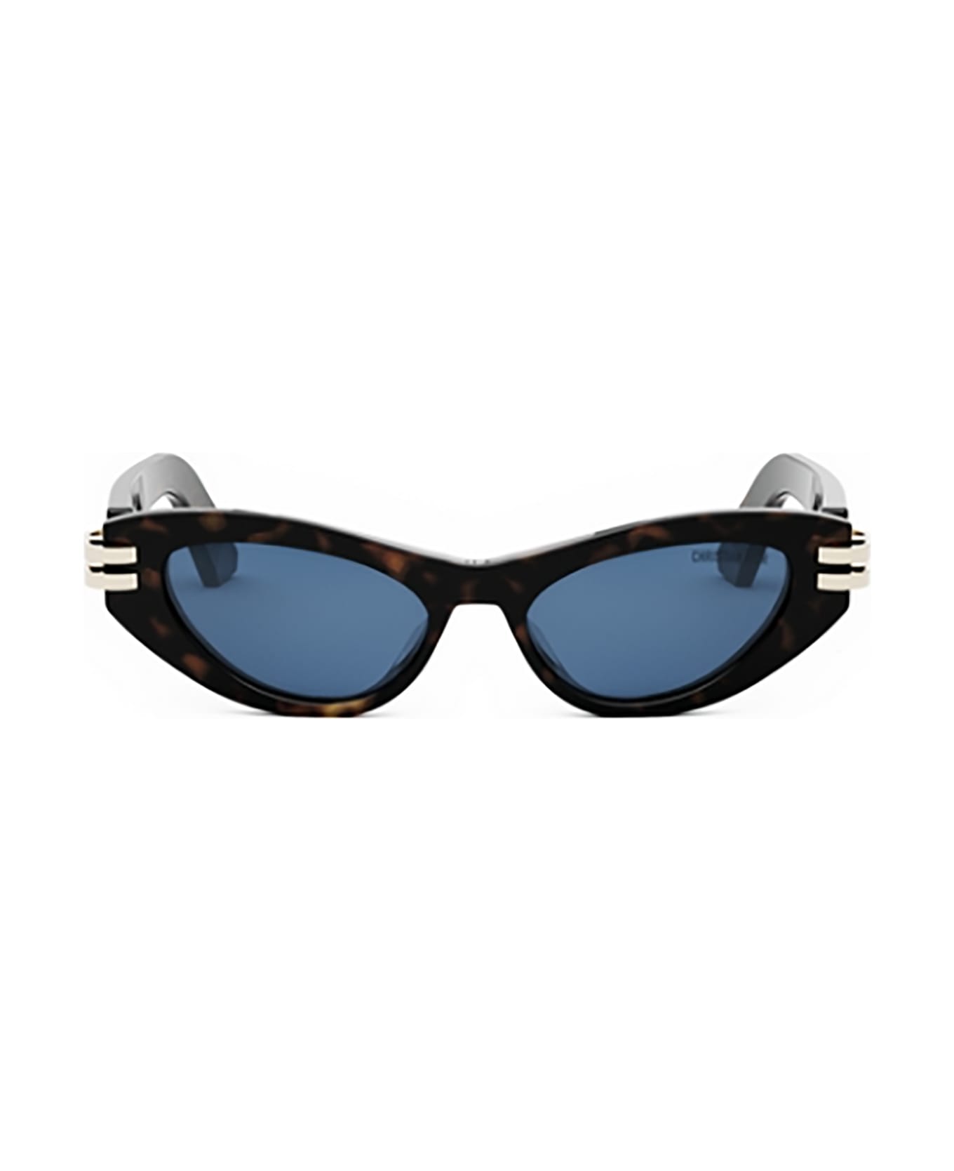 Dior Eyewear CDIOR B1U Sunglasses
