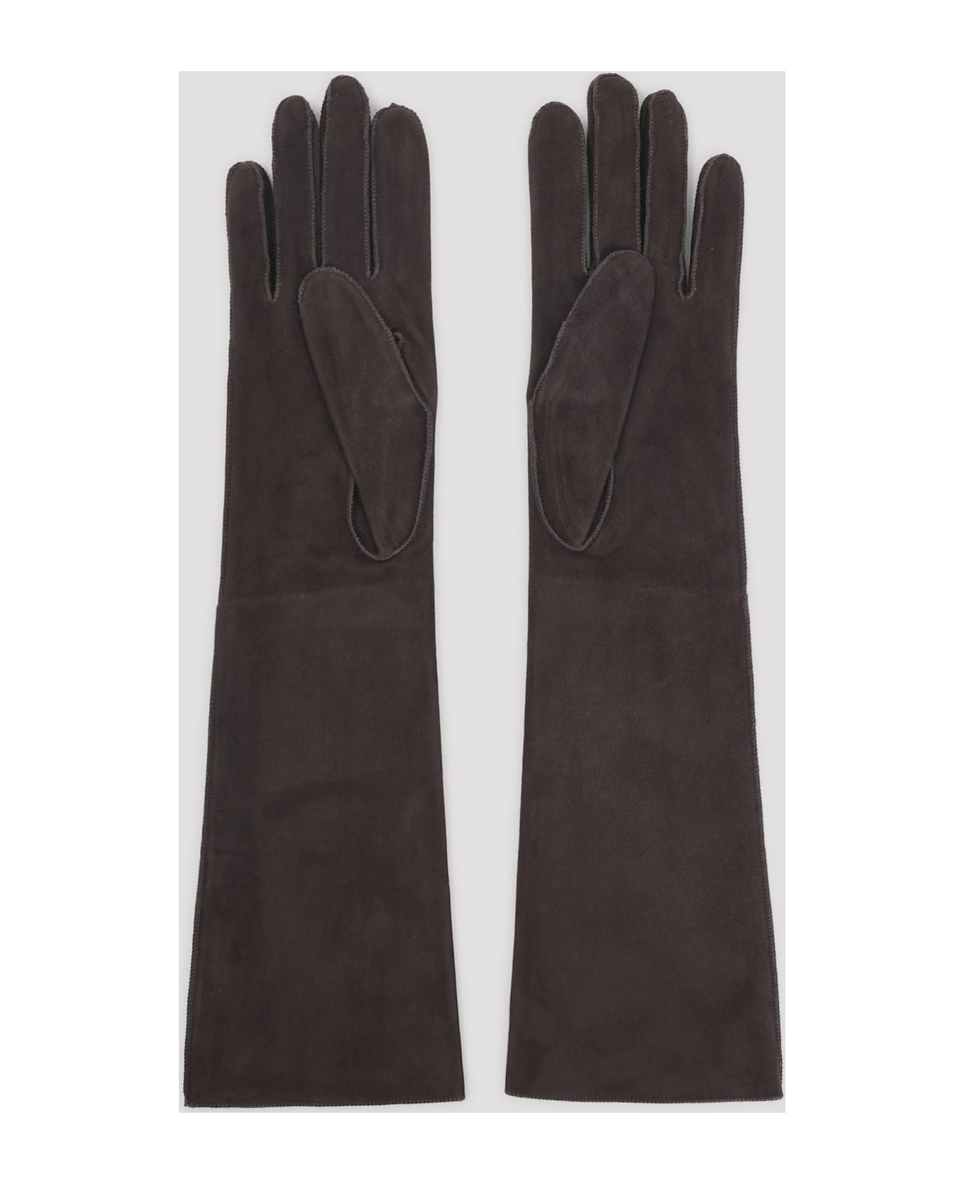 Lanvin Long Slim Gloves - Mocha