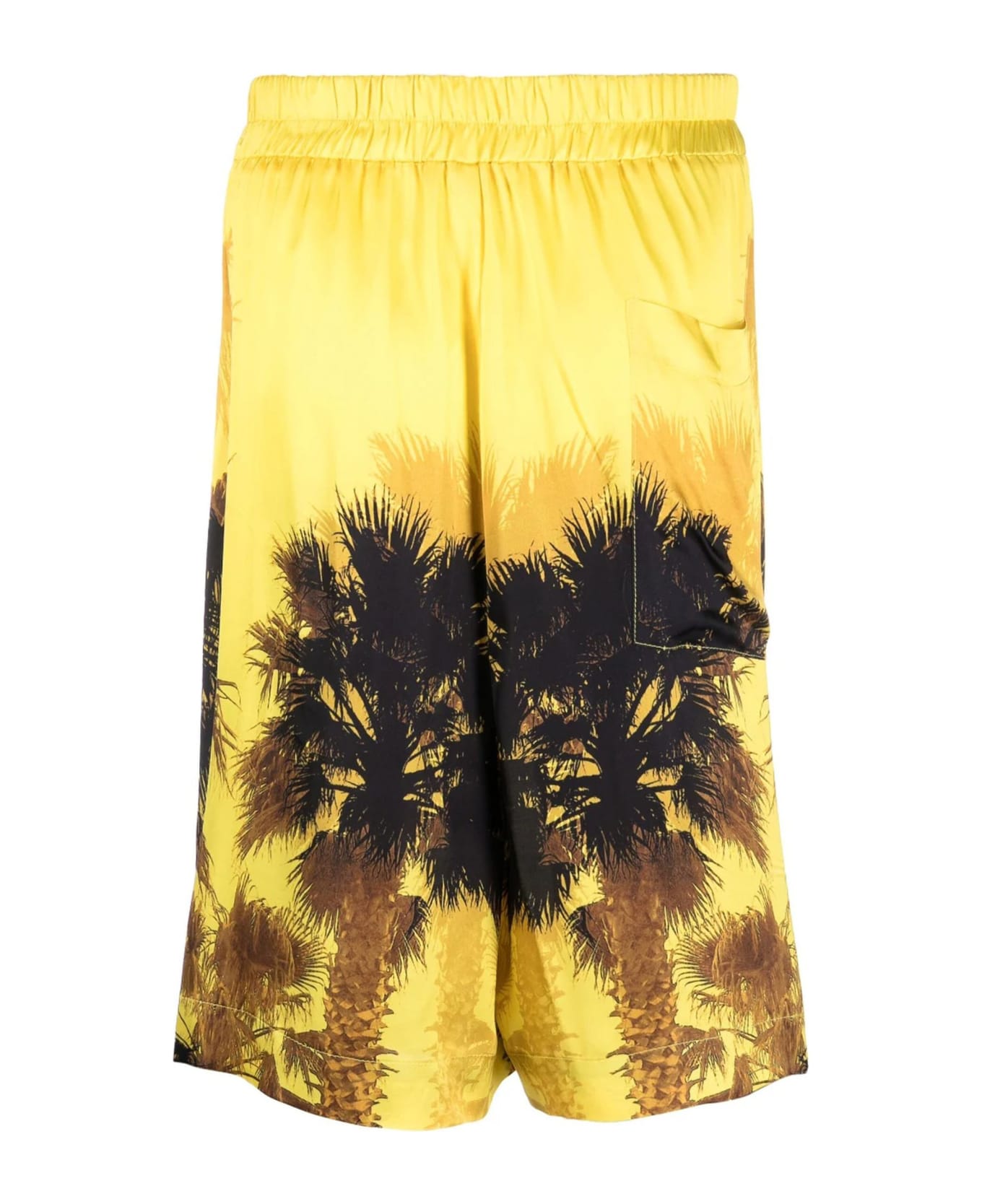Laneus Palm-tree Print Shorts