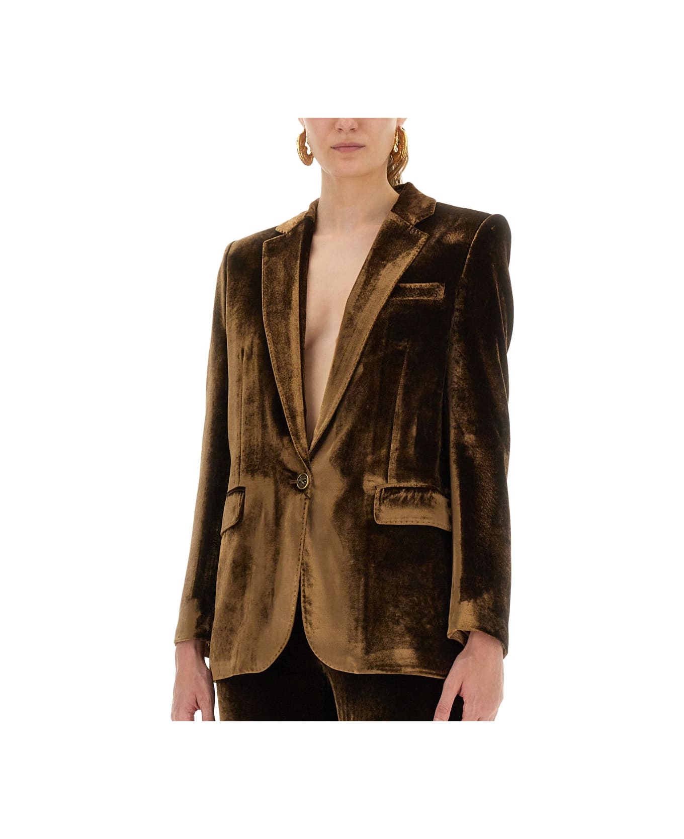 Etro Velvet Jacket - BROWN