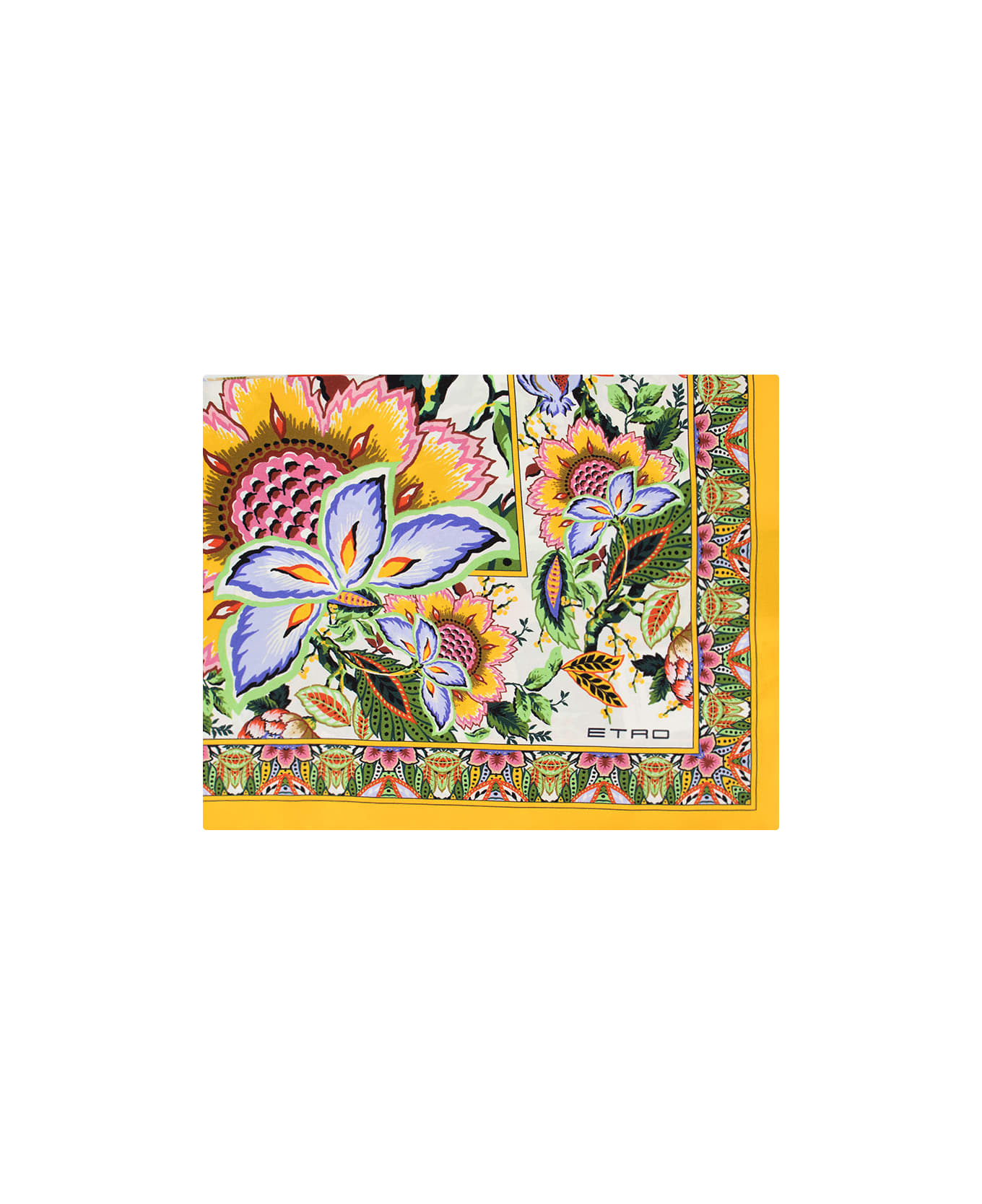 Etro Multicoloured Printed Silk Scarf - Multicolour