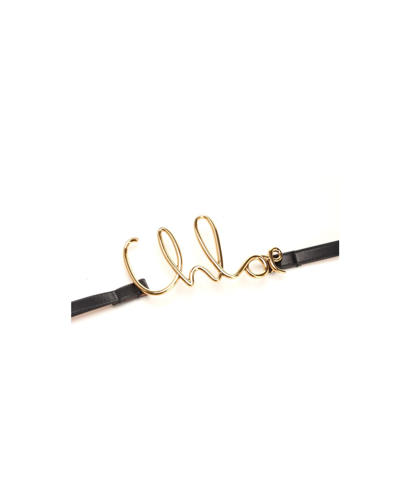 Chloé Signature Belt - Black