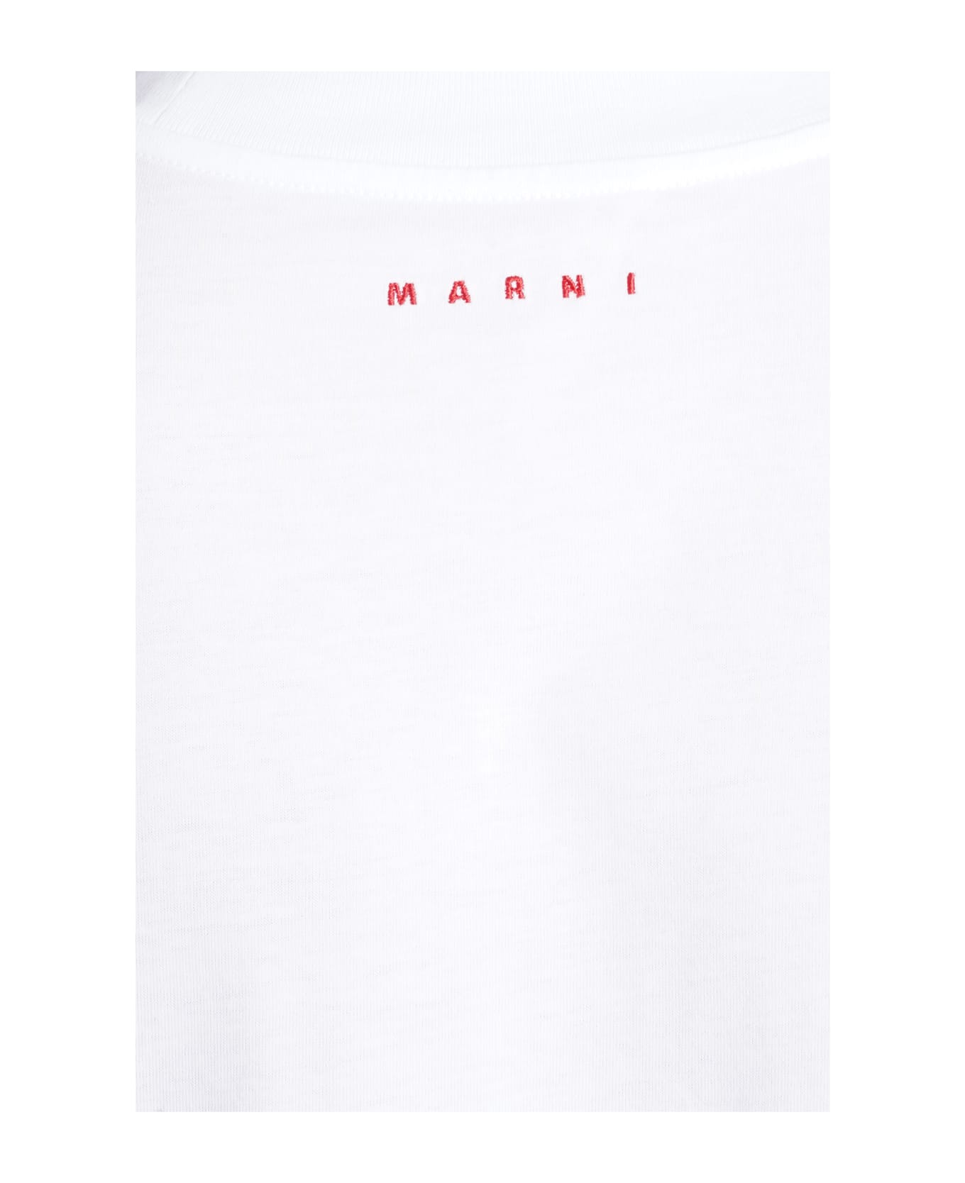 Marni T-shirt 3-pack In Multicolor Cotton - multicolor