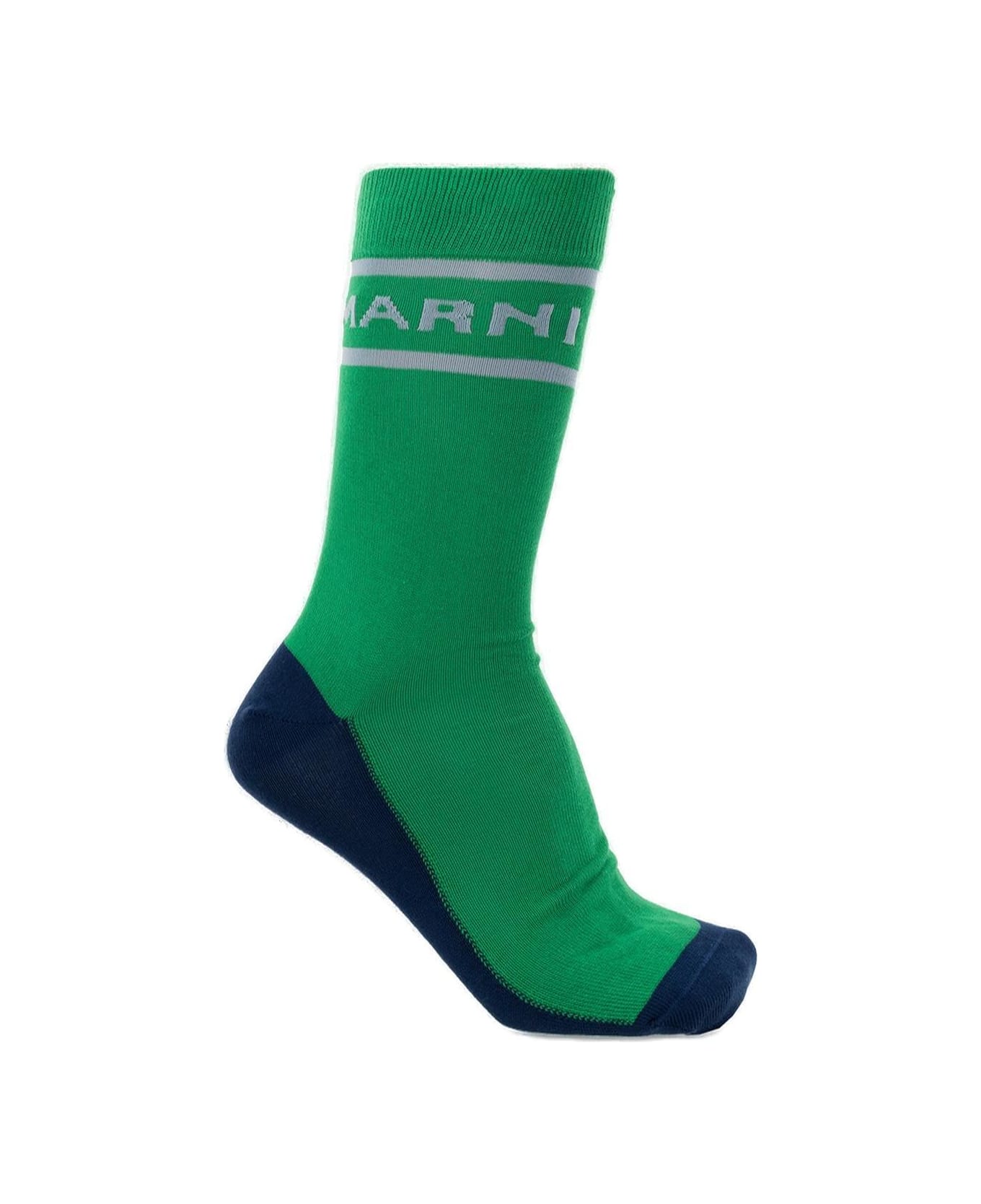 Marni Logo Intarsia Color-block Socks - Green