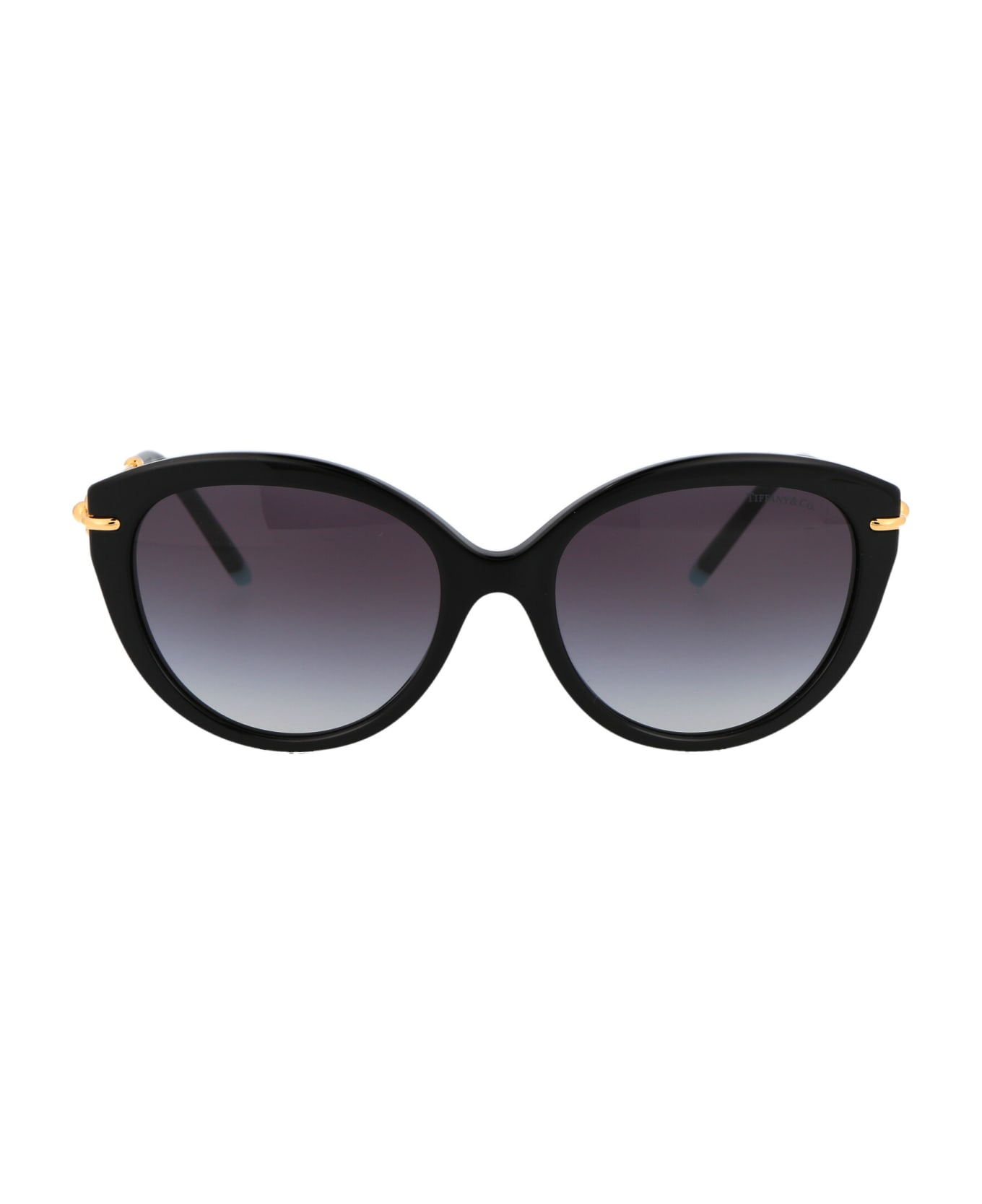 Tiffany & Co. 0tf4187 Sunglasses - 80013C Black