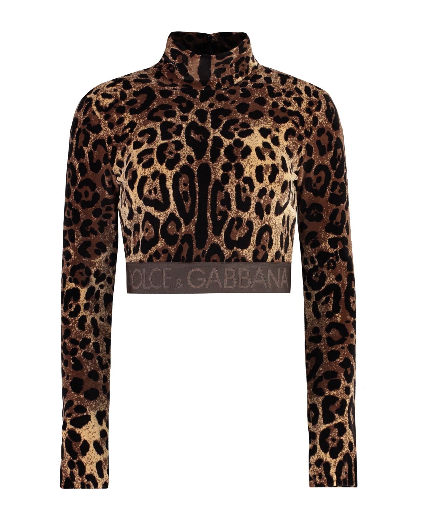 Dolce & Gabbana Long Sleeve Crop Top - Animalier