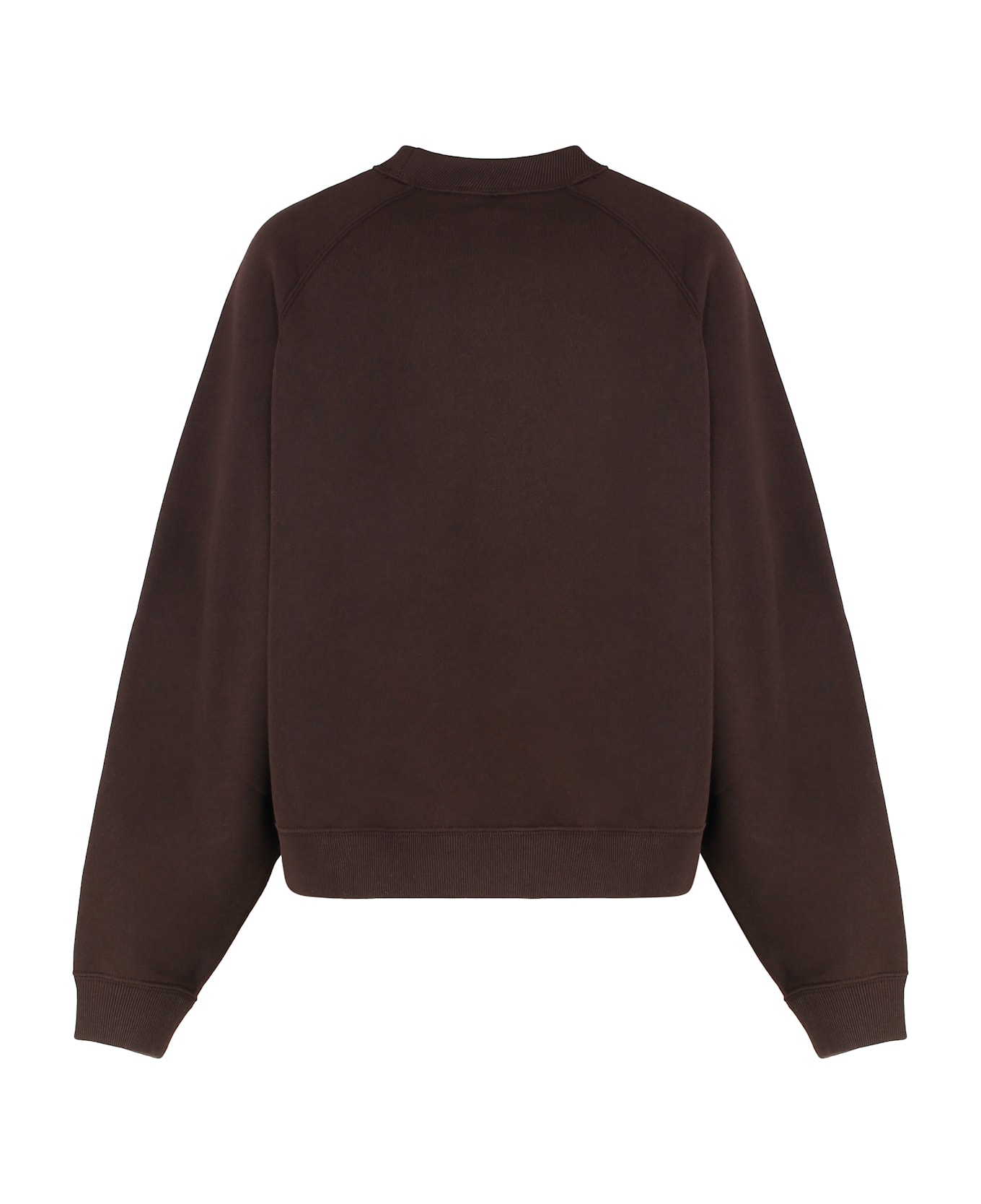 Polo Ralph Lauren Sweatshirt In Cotton - brown
